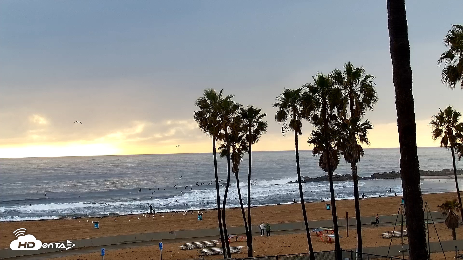 Snapshot of Venice Beach Live Surf Cam taken Mar 11, 2025, 5:13pm PDT