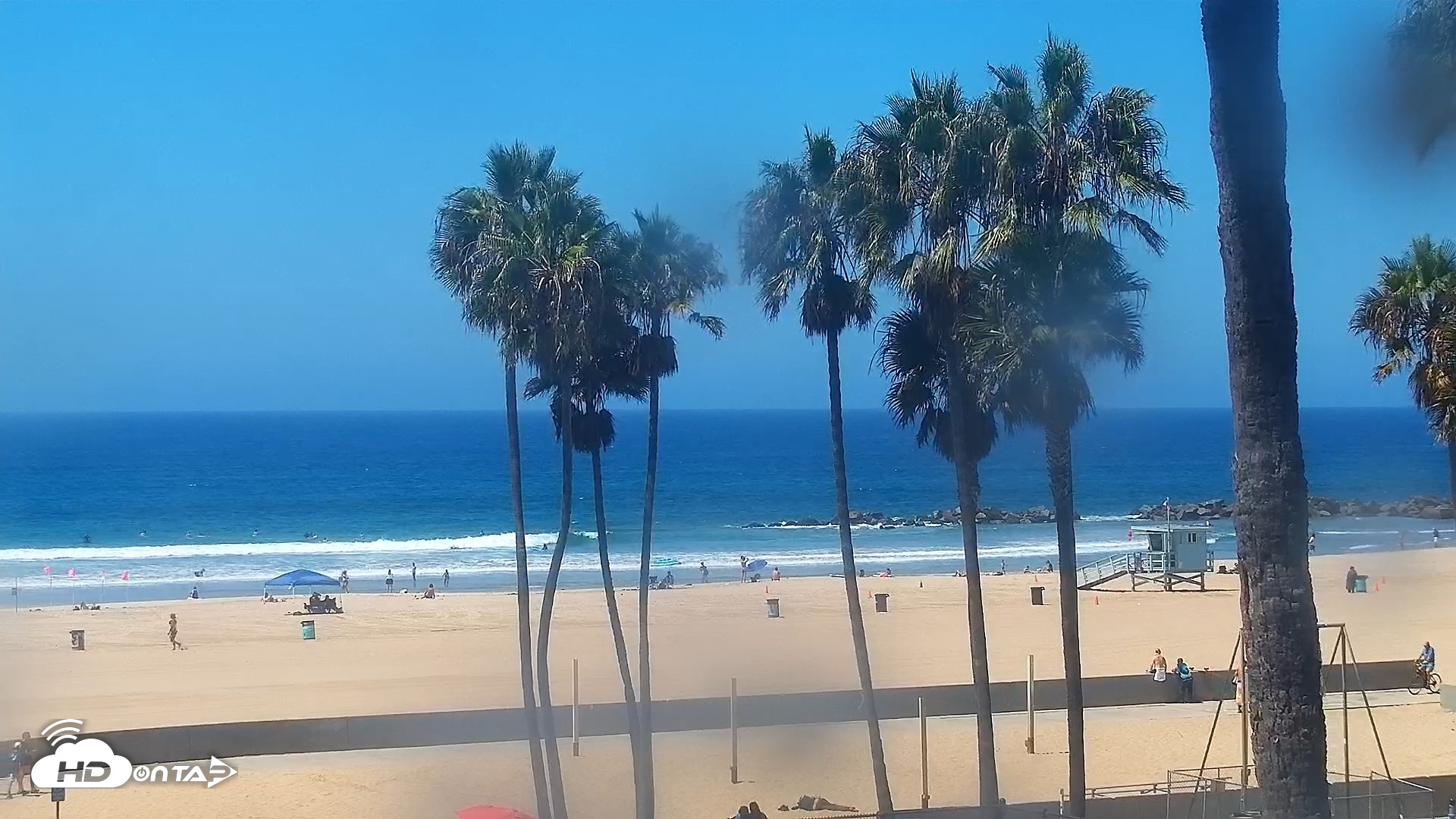 Snapshot of Venice Beach Live Surf Cam taken Aug 24, 2026, 12:12pm PDT