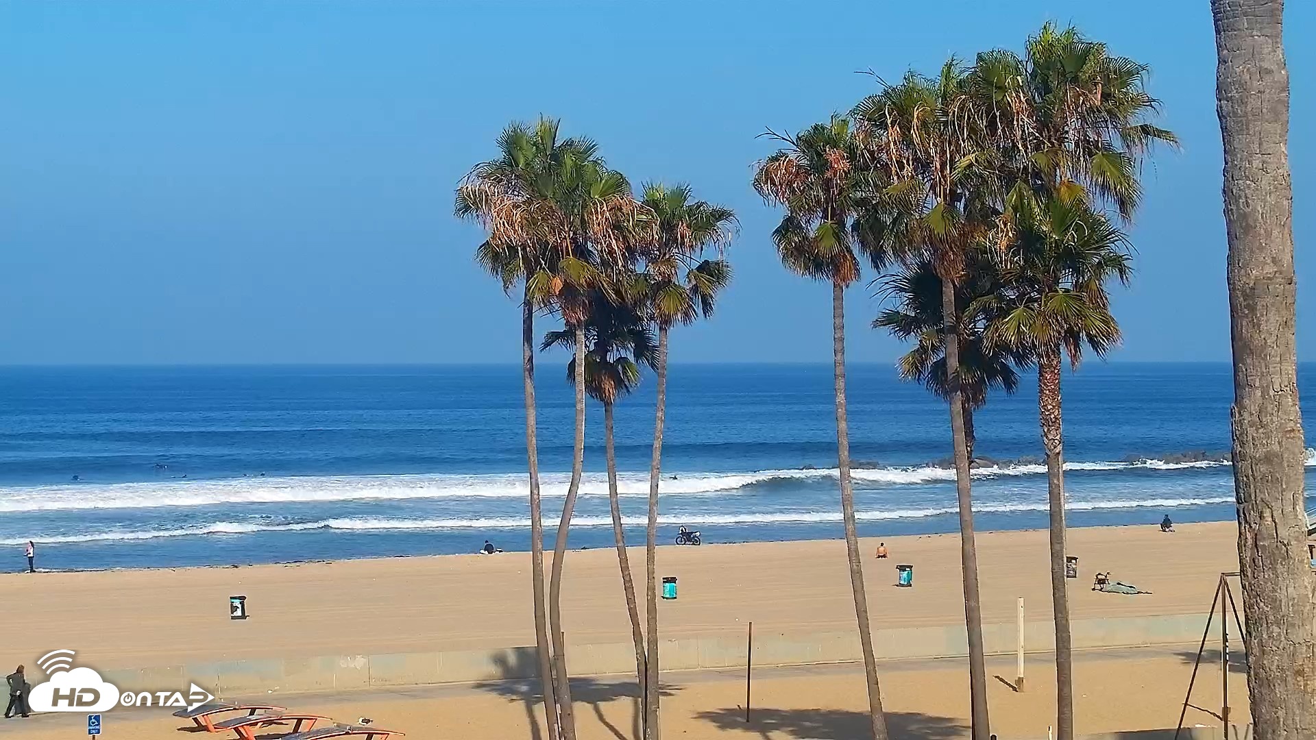 Snapshot of Venice Beach Live Surf Cam taken Jun 11, 2026, 8:04am PDT