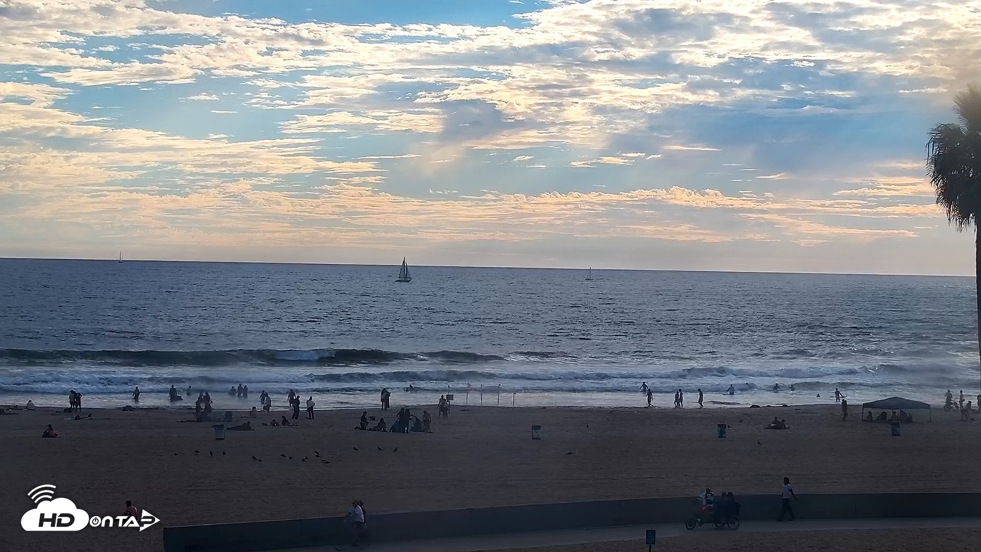 Snapshot of Venice Beach Live Surf Cam taken Sep 7, 2026, 6:01pm PDT
