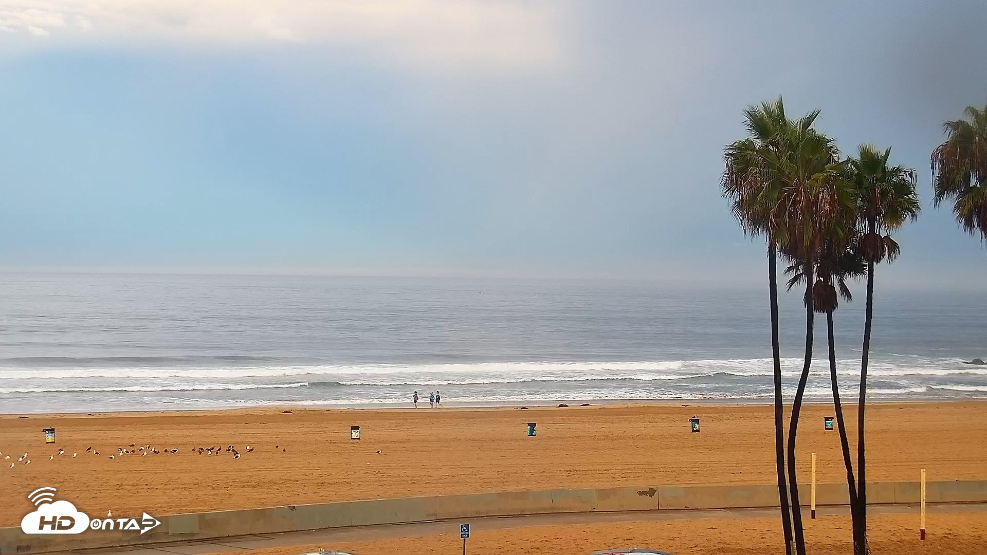 Snapshot of Venice Beach Live Surf Cam taken Sep 7, 2026, 7:05am PDT