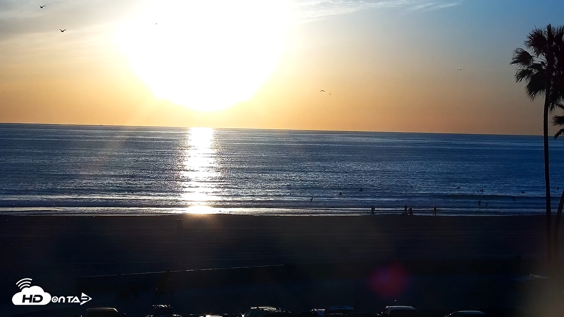 Snapshot of Venice Beach Live Surf Cam taken Jan 28, 2026, 5:03pm PST