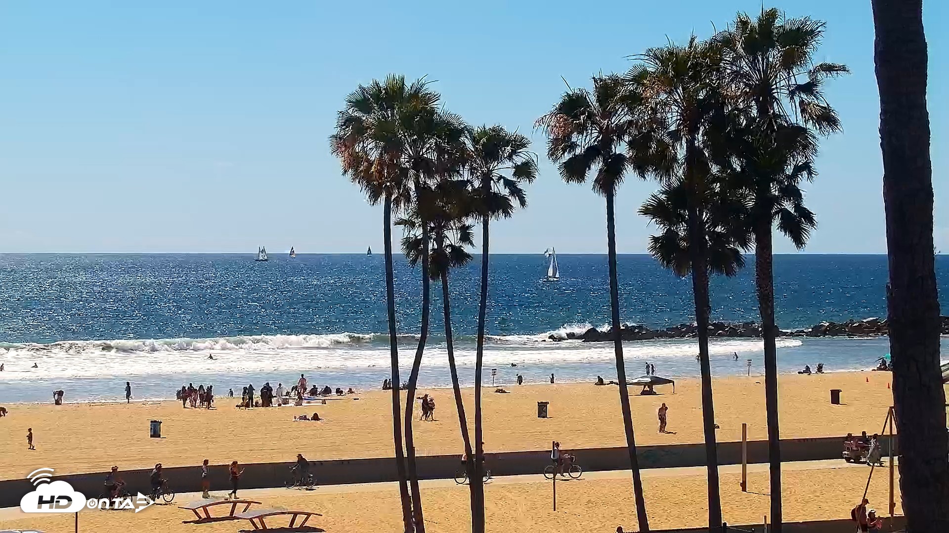 Snapshot of Venice Beach Live Surf Cam taken Apr 11, 2026, 2:50pm PDT