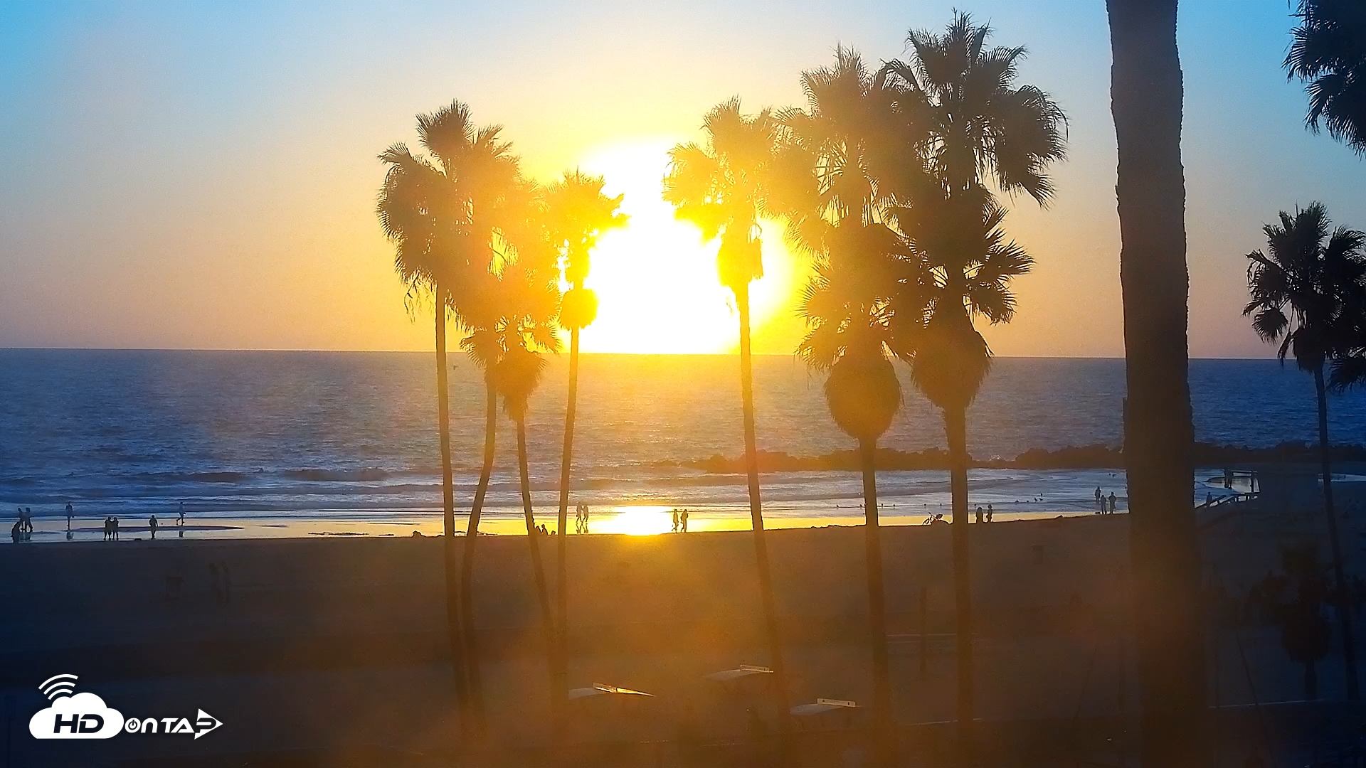 Snapshot of Venice Beach Live Surf Cam taken Oct 7, 2025, 6:24pm PDT