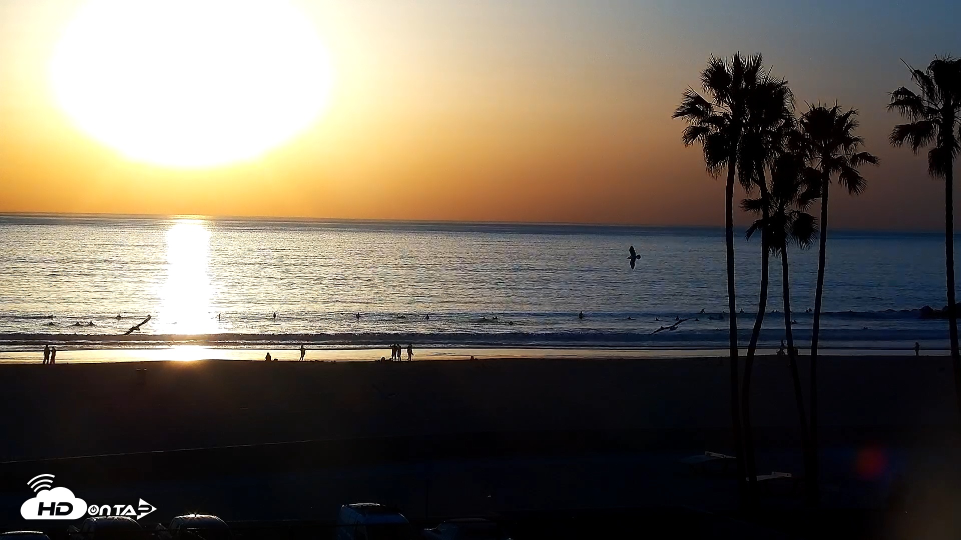 Snapshot of Venice Beach Live Surf Cam taken Jan 29, 2026, 5:04pm PST