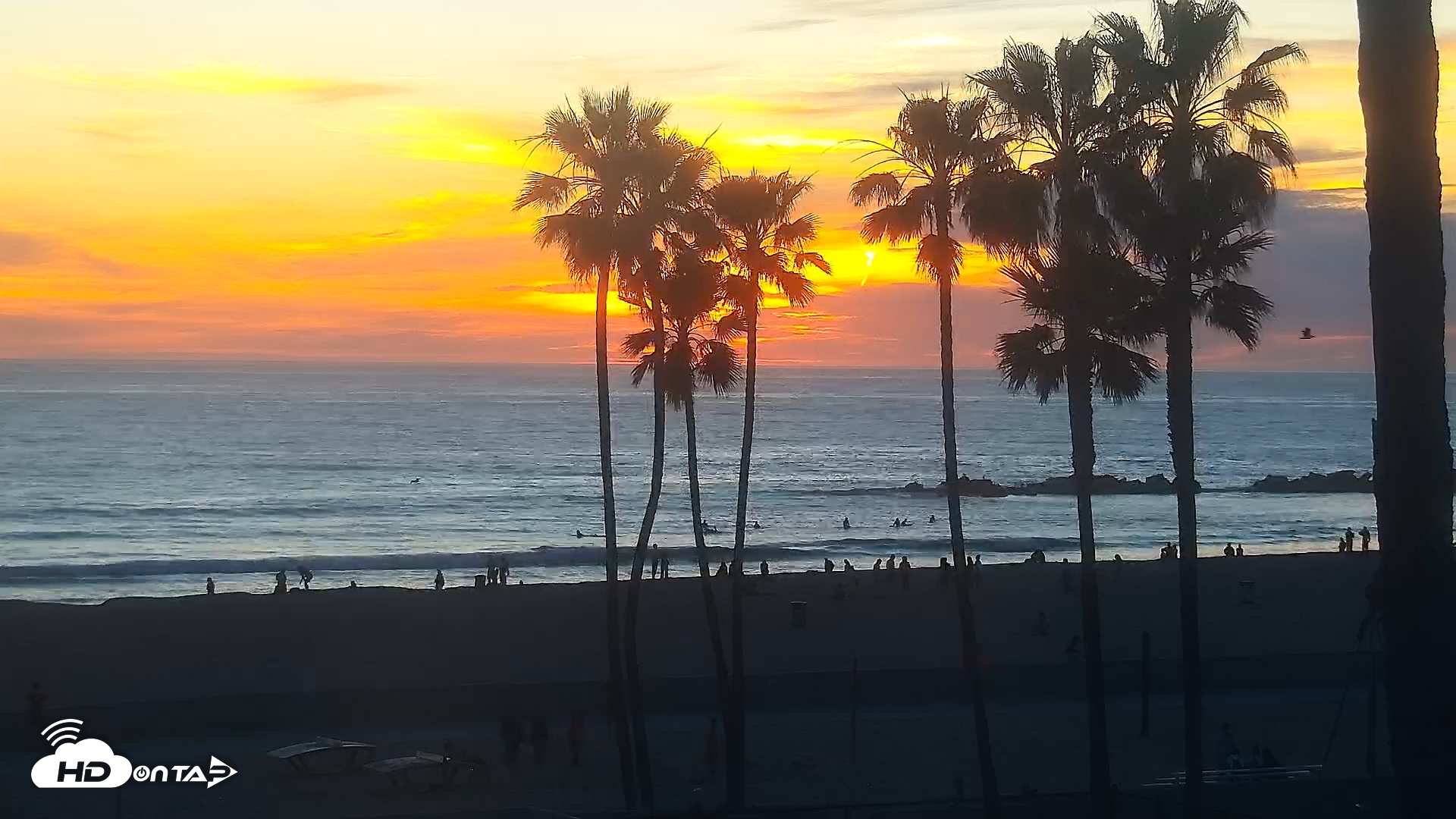 Snapshot of Venice Beach Live Surf Cam taken Feb 26, 2026, 5:52pm PST