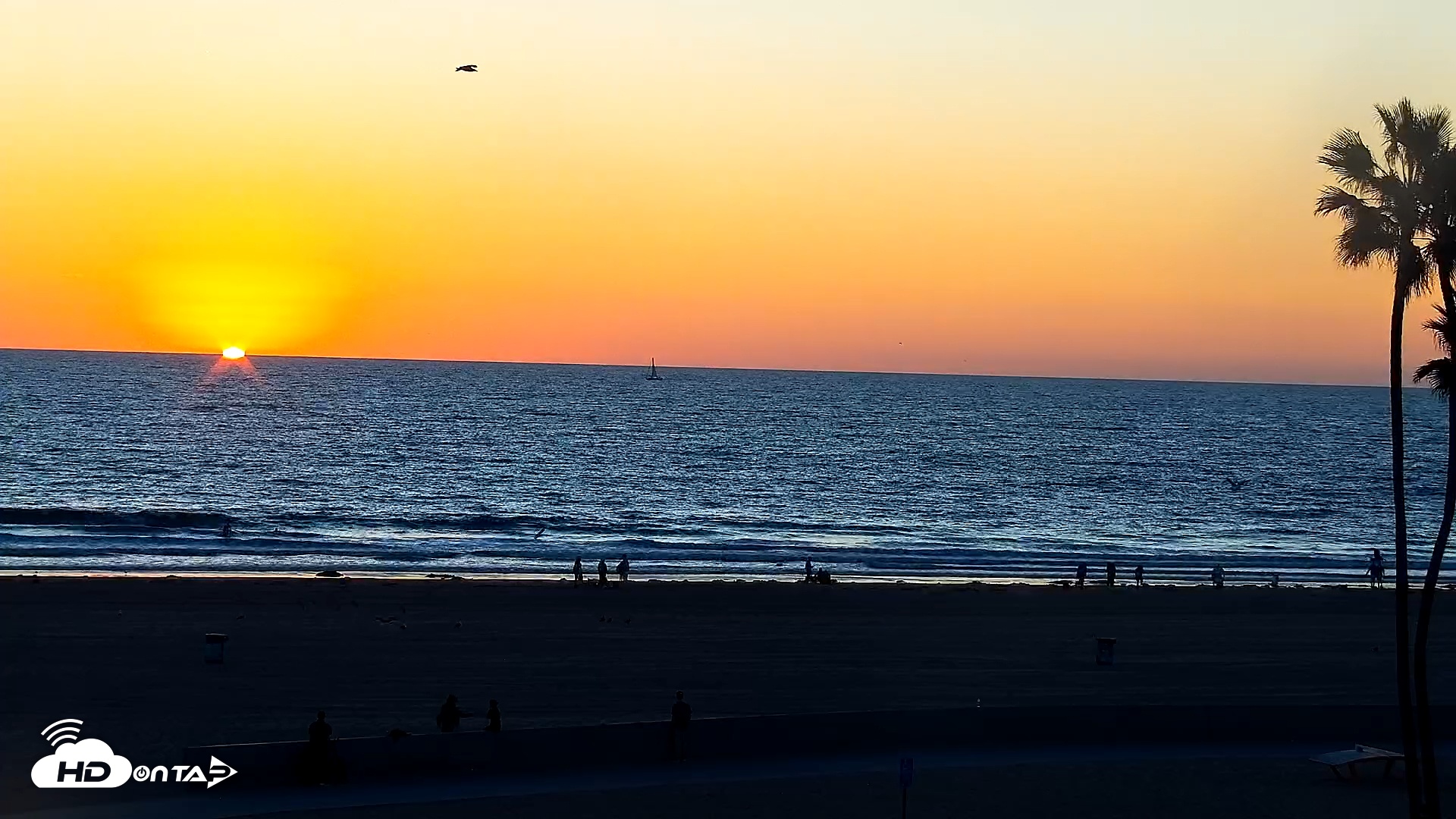 Snapshot of Venice Beach Live Surf Cam taken Dec 14, 2025, 4:47pm PST