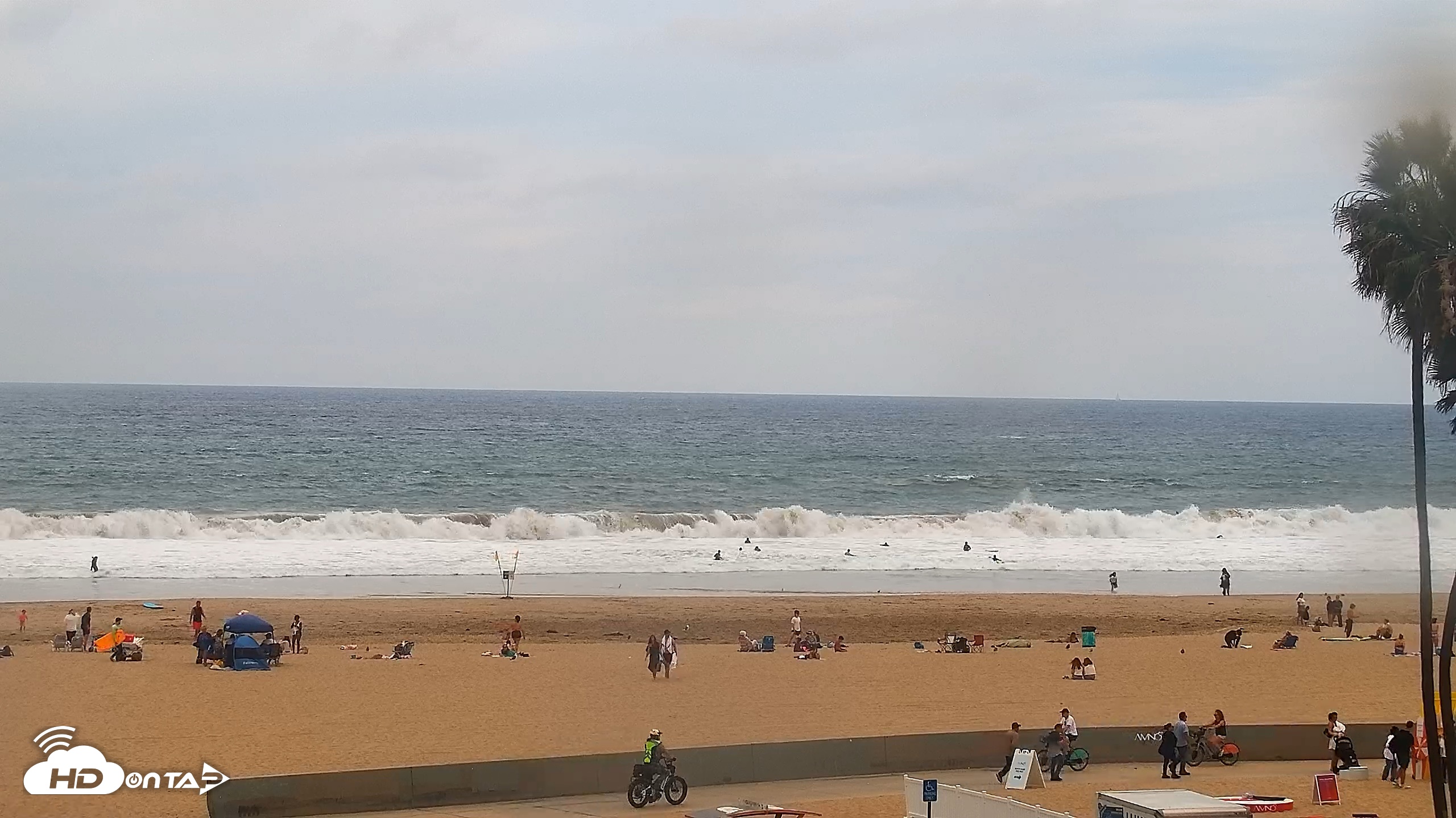 Snapshot of Venice Beach Roaming Live Surf Cam taken Oct 10, 2026, 12:44pm PDT