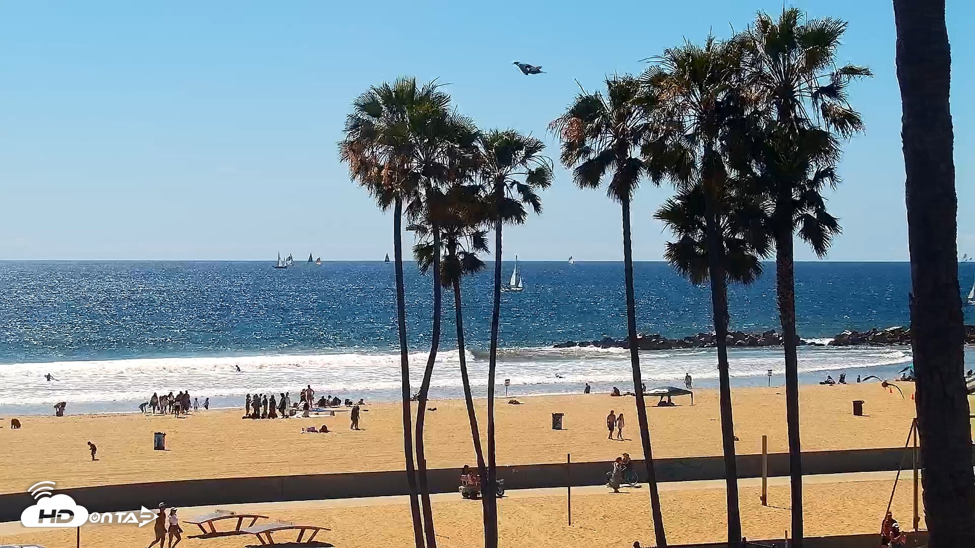 Snapshot of Venice Beach Live Surf Cam taken Apr 11, 2026, 2:49pm PDT