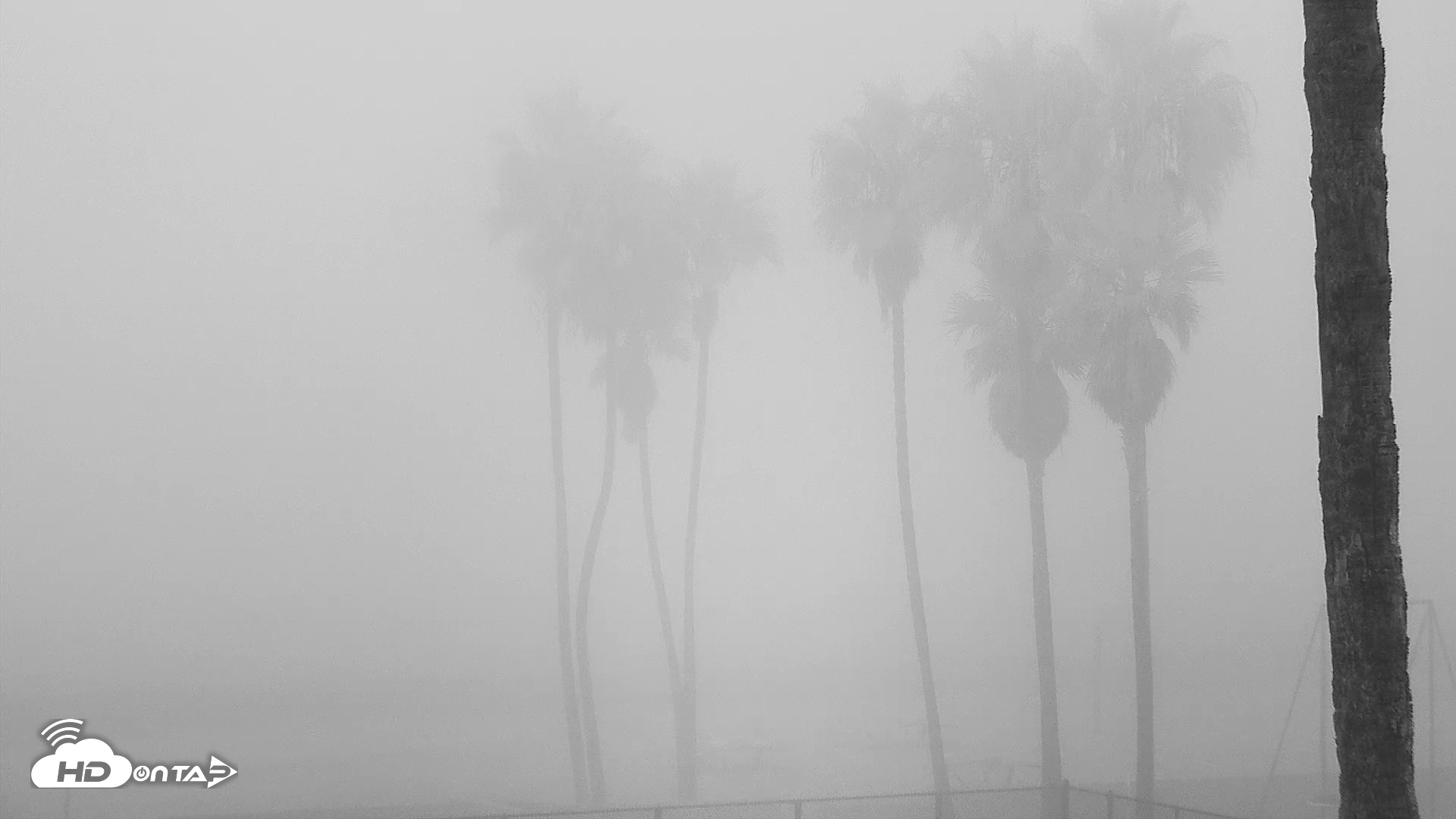 Snapshot of Venice Beach Live Surf Cam taken Oct 21, 2025, 6:56am PDT