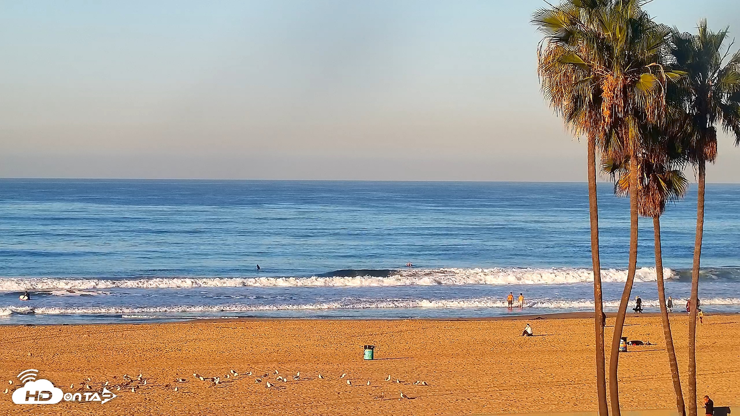 Snapshot of Venice Beach Roaming Live Surf Cam taken Oct 19, 2026, 8:06am PDT