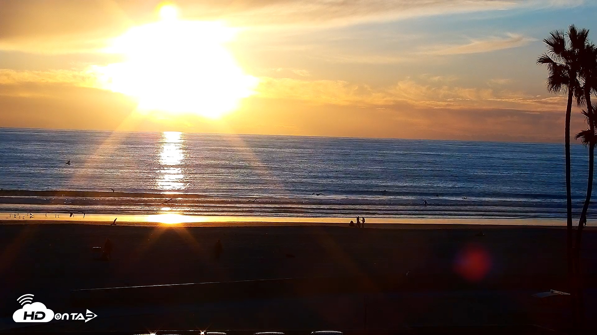 Snapshot of Venice Beach Live Surf Cam taken Nov 18, 2025, 4:36pm PST