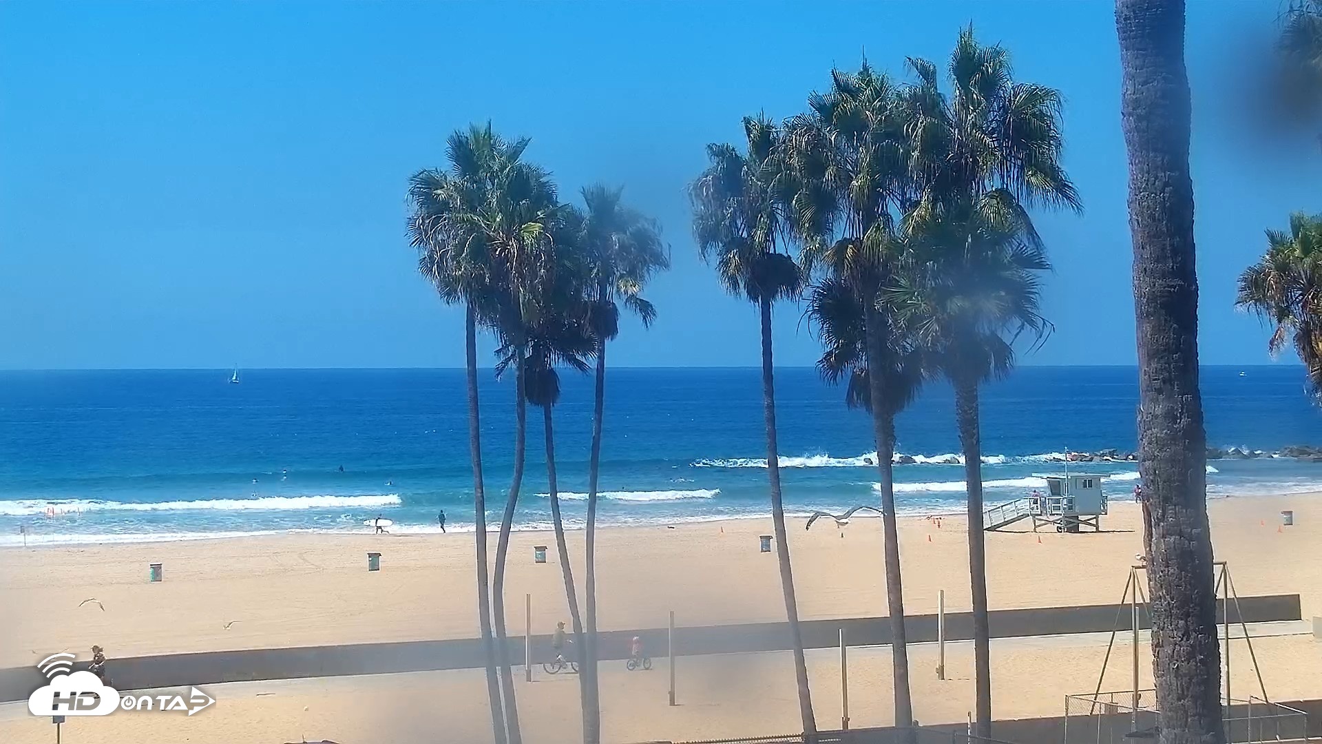 Snapshot of Venice Beach Live Surf Cam taken Sep 1, 2026, 12:09pm PDT