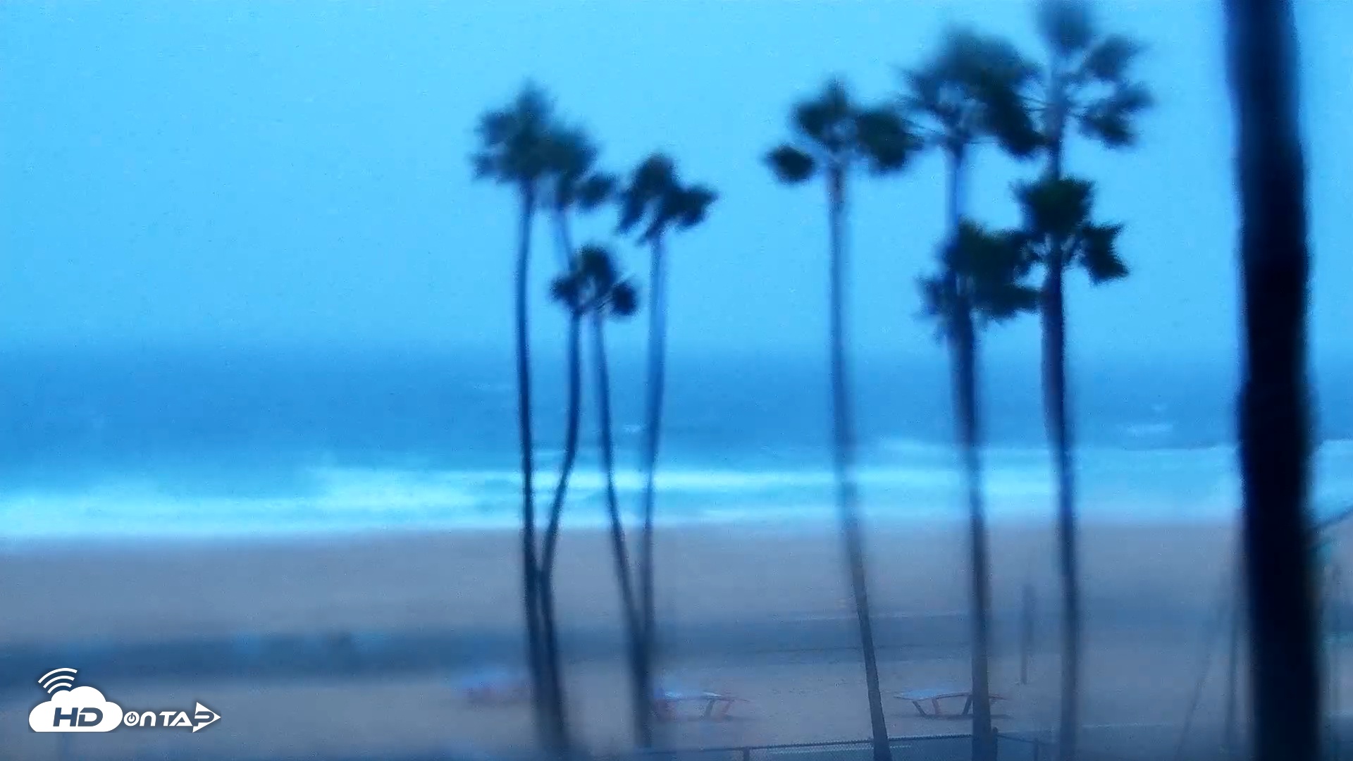 Snapshot of Venice Beach Live Surf Cam taken Nov 15, 2025, 6:29am PST