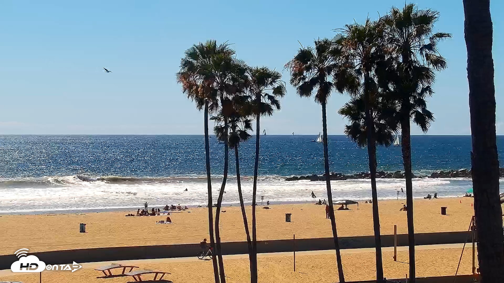 Snapshot of Venice Beach Live Surf Cam taken Apr 11, 2026, 3:02pm PDT