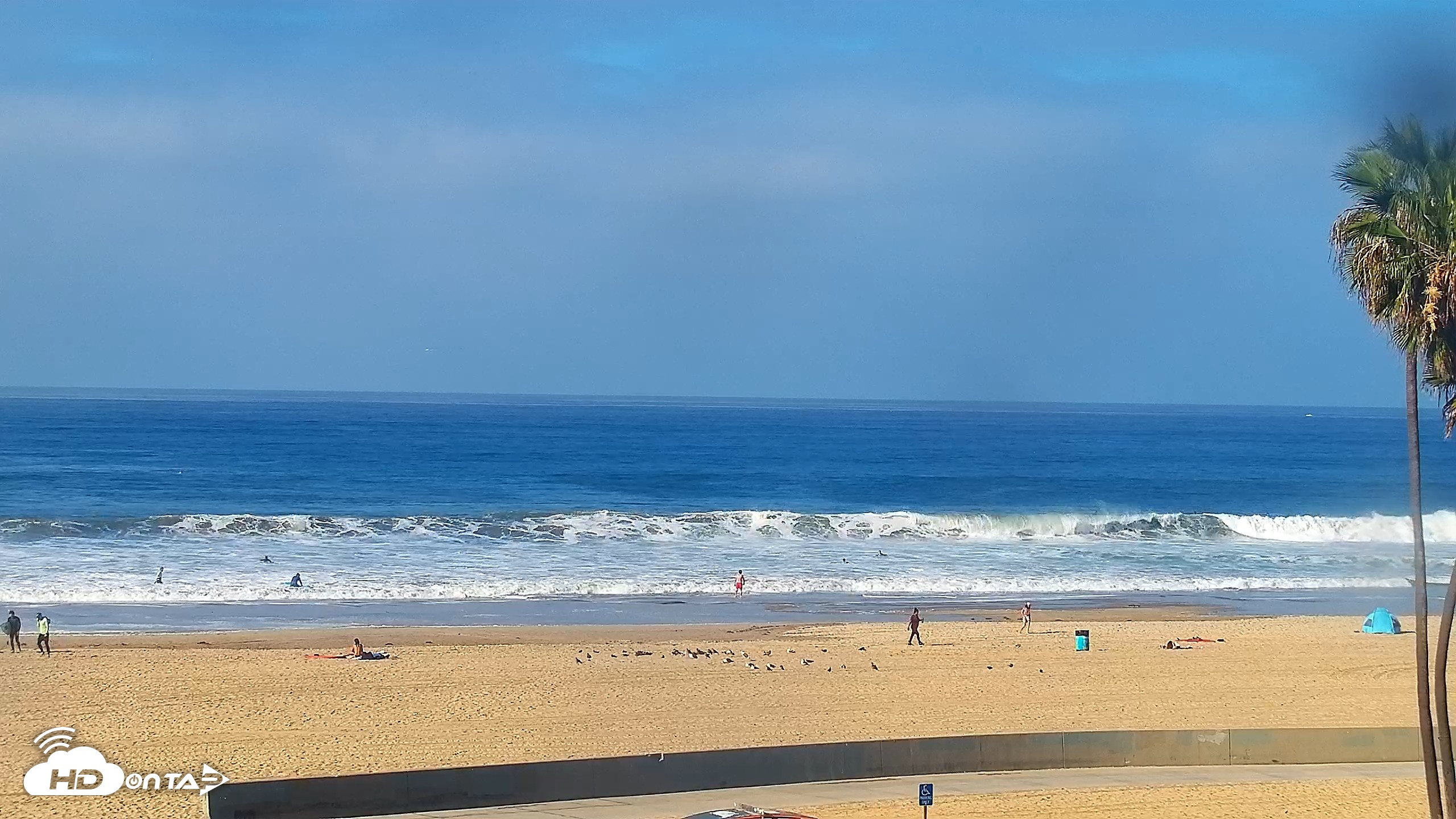 Snapshot of Venice Beach Roaming Live Surf Cam taken Oct 9, 2026, 9:31am PDT