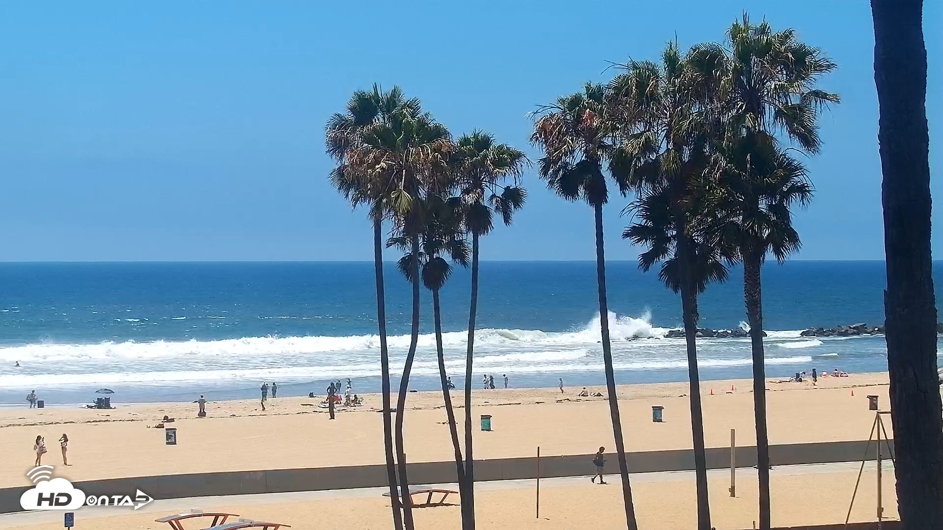 Snapshot of Venice Beach Live Surf Cam taken Jun 16, 2026, 1:16pm PDT