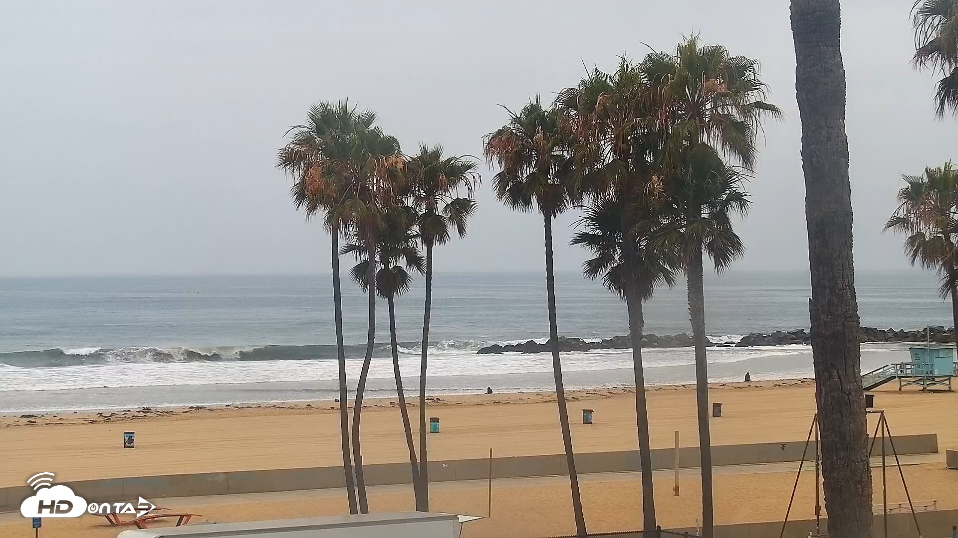 Snapshot of Venice Beach Live Surf Cam taken Jun 1, 2026, 7:51am PDT