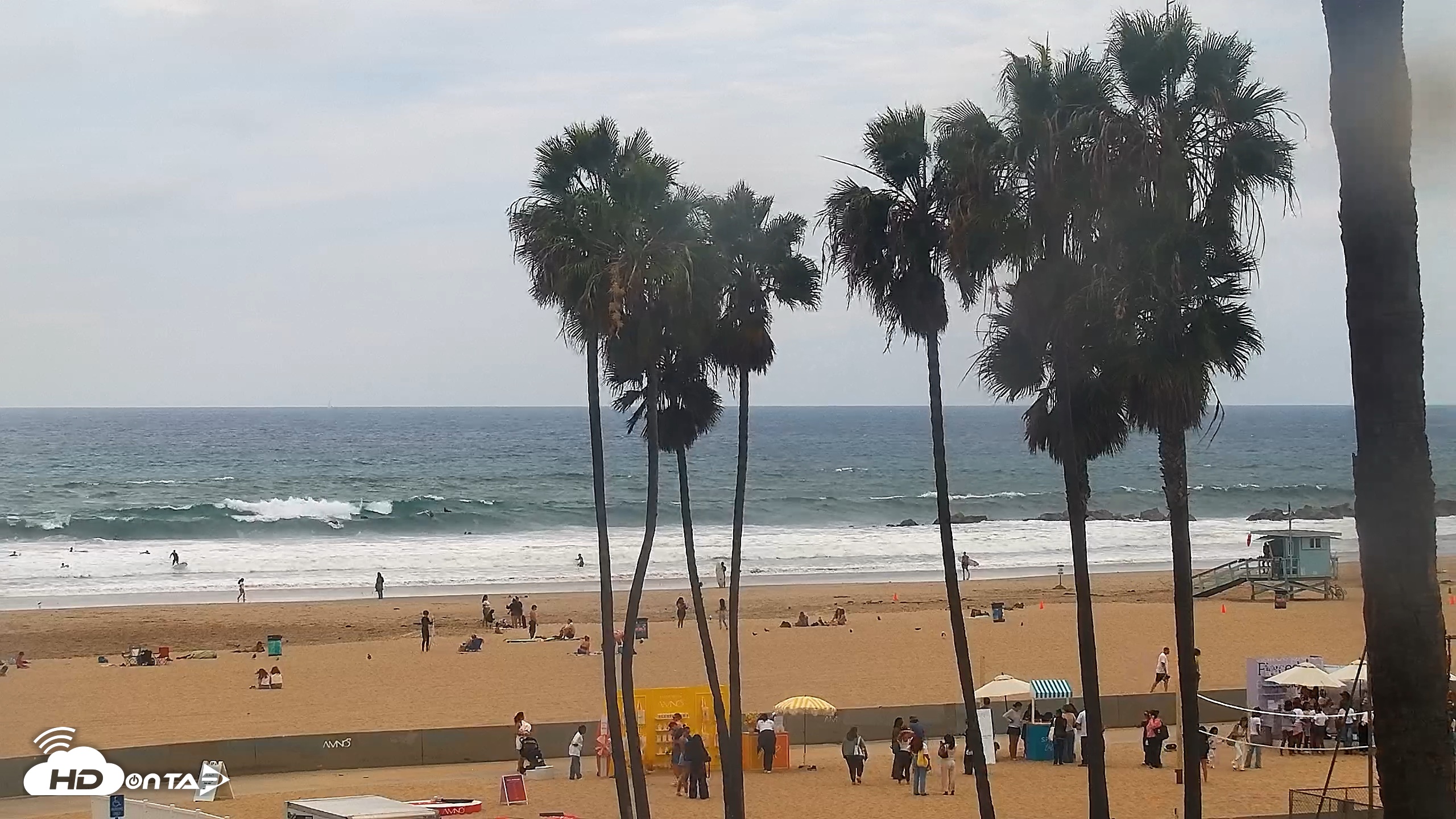 Snapshot of Venice Beach Roaming Live Surf Cam taken Oct 10, 2026, 12:43pm PDT