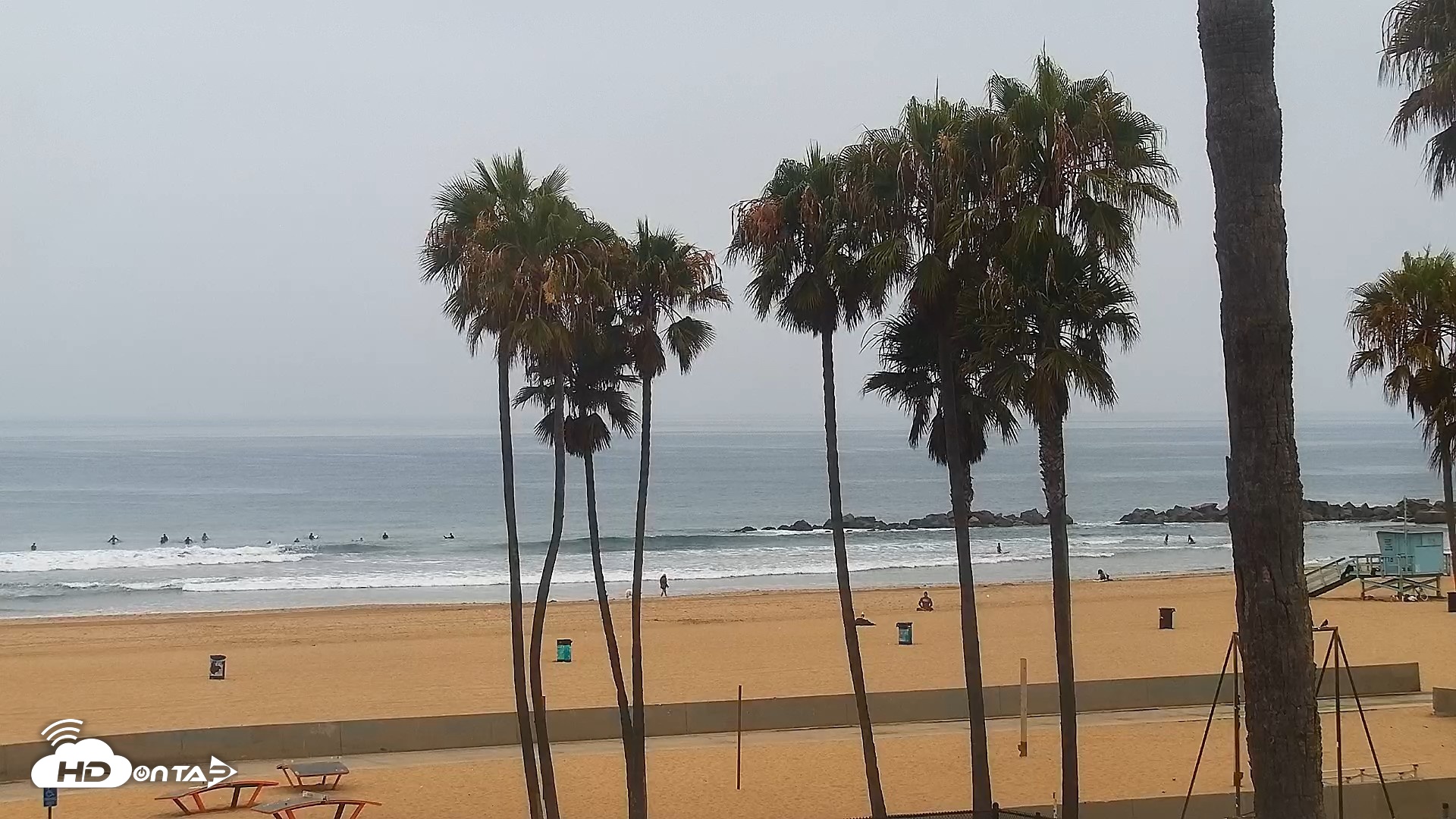 Snapshot of Venice Beach Live Surf Cam taken Jul 10, 2026, 7:38am PDT