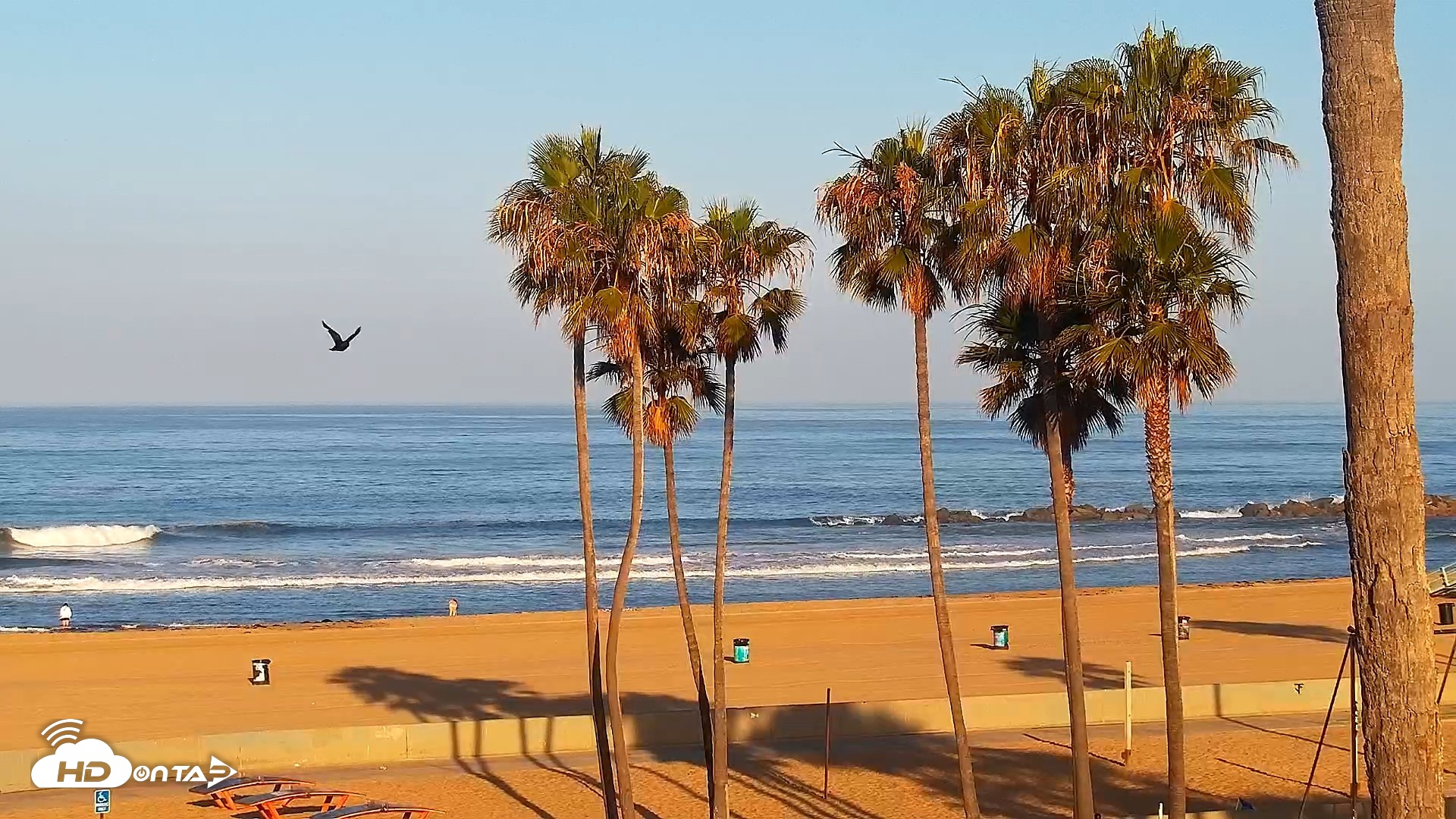Snapshot of Venice Beach Live Surf Cam taken Jun 10, 2026, 7:02am PDT