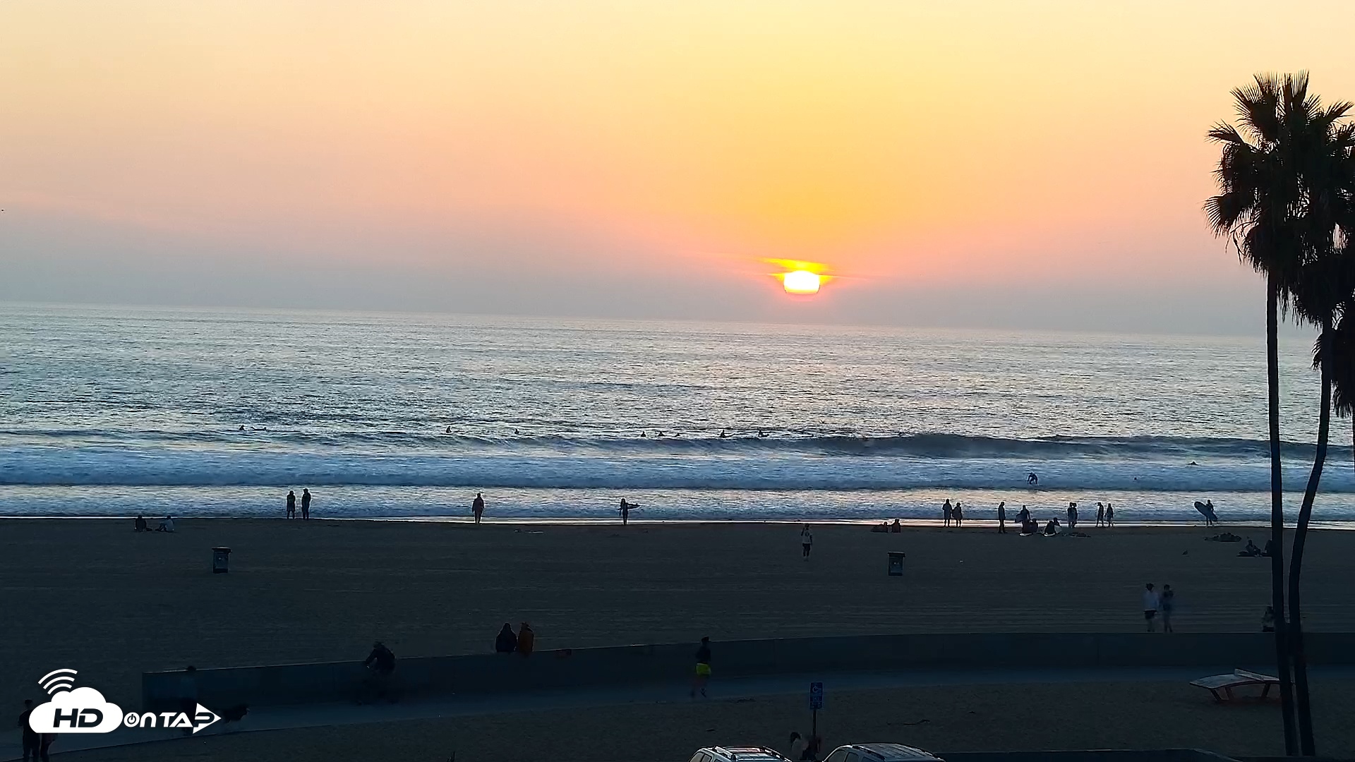 Snapshot of Venice Beach Live Surf Cam taken Nov 2, 2025, 4:56pm PST