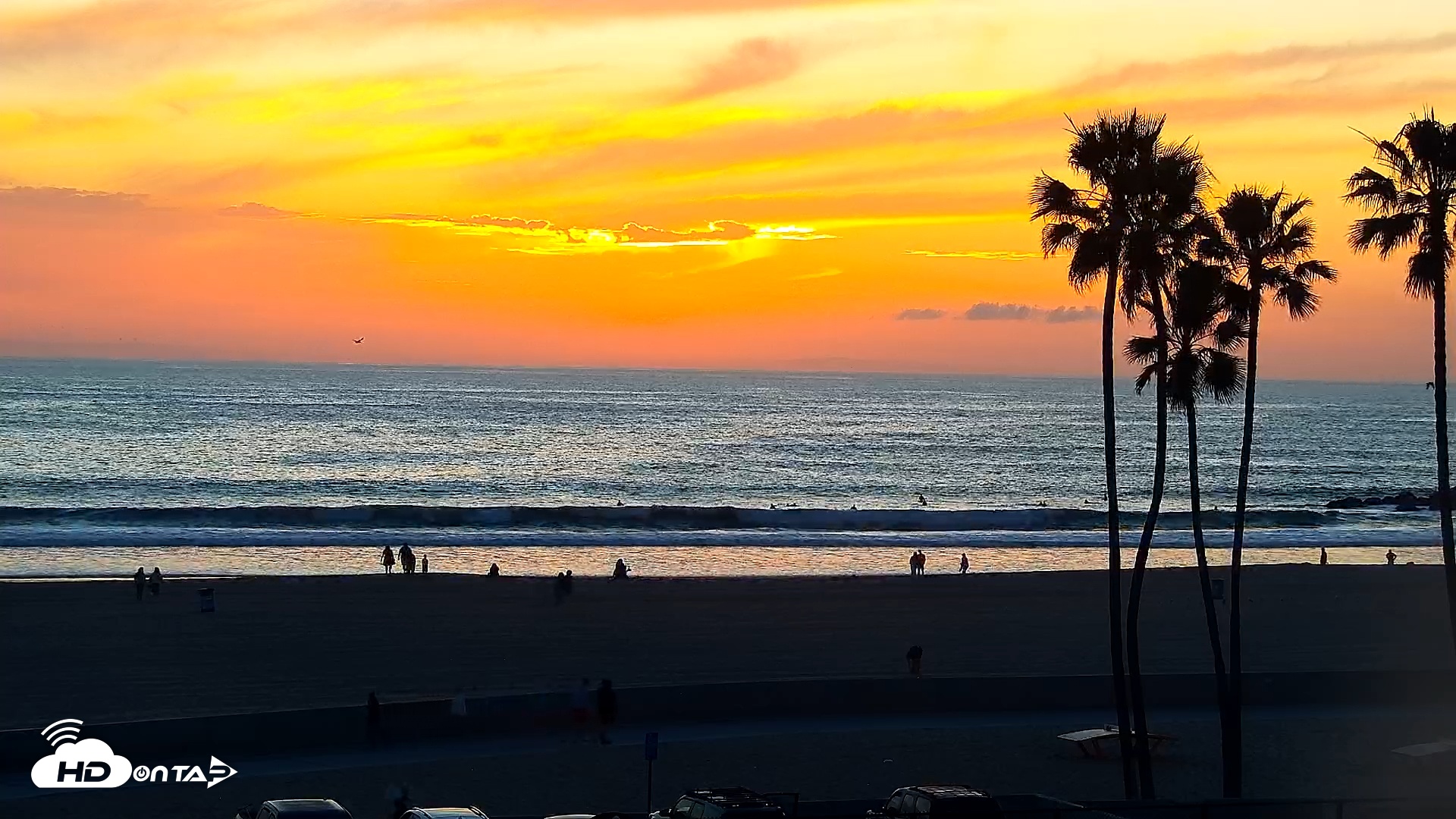 Snapshot of Venice Beach Live Surf Cam taken Feb 6, 2026, 5:32pm PST