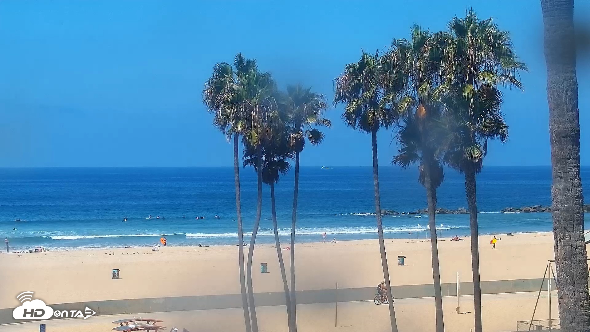 Snapshot of Venice Beach Roaming Live Surf Cam taken Aug 3, 2026, 11:14am PDT