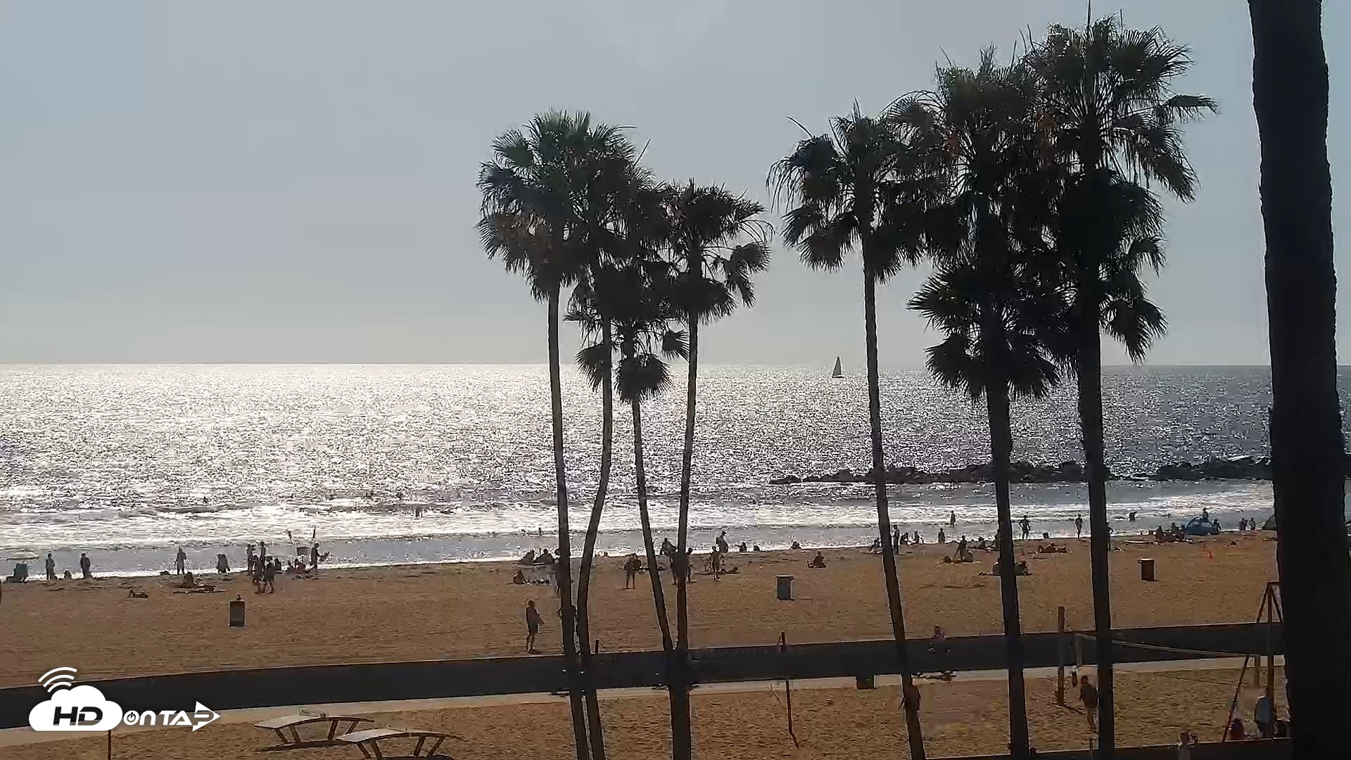 Snapshot of Venice Beach Live Surf Cam taken Apr 19, 2026, 4:15pm PDT
