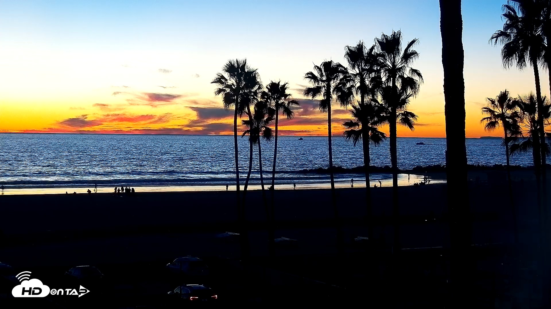 Snapshot of Venice Beach Live Surf Cam taken Jan 18, 2026, 5:36pm PST