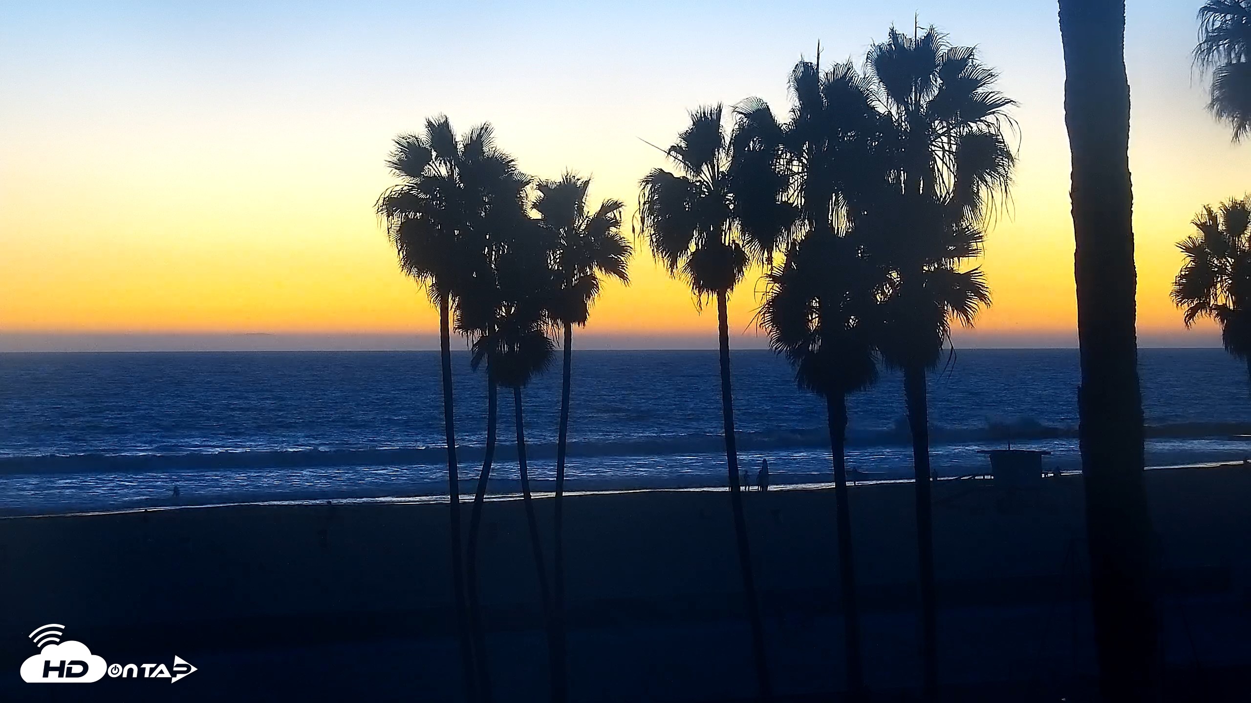 Snapshot of Venice Beach Roaming Live Surf Cam taken Oct 8, 2026, 6:53pm PDT