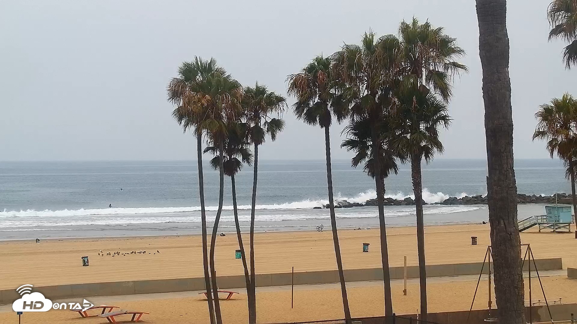 Snapshot of Venice Beach Live Surf Cam taken Jun 23, 2026, 9:44am PDT