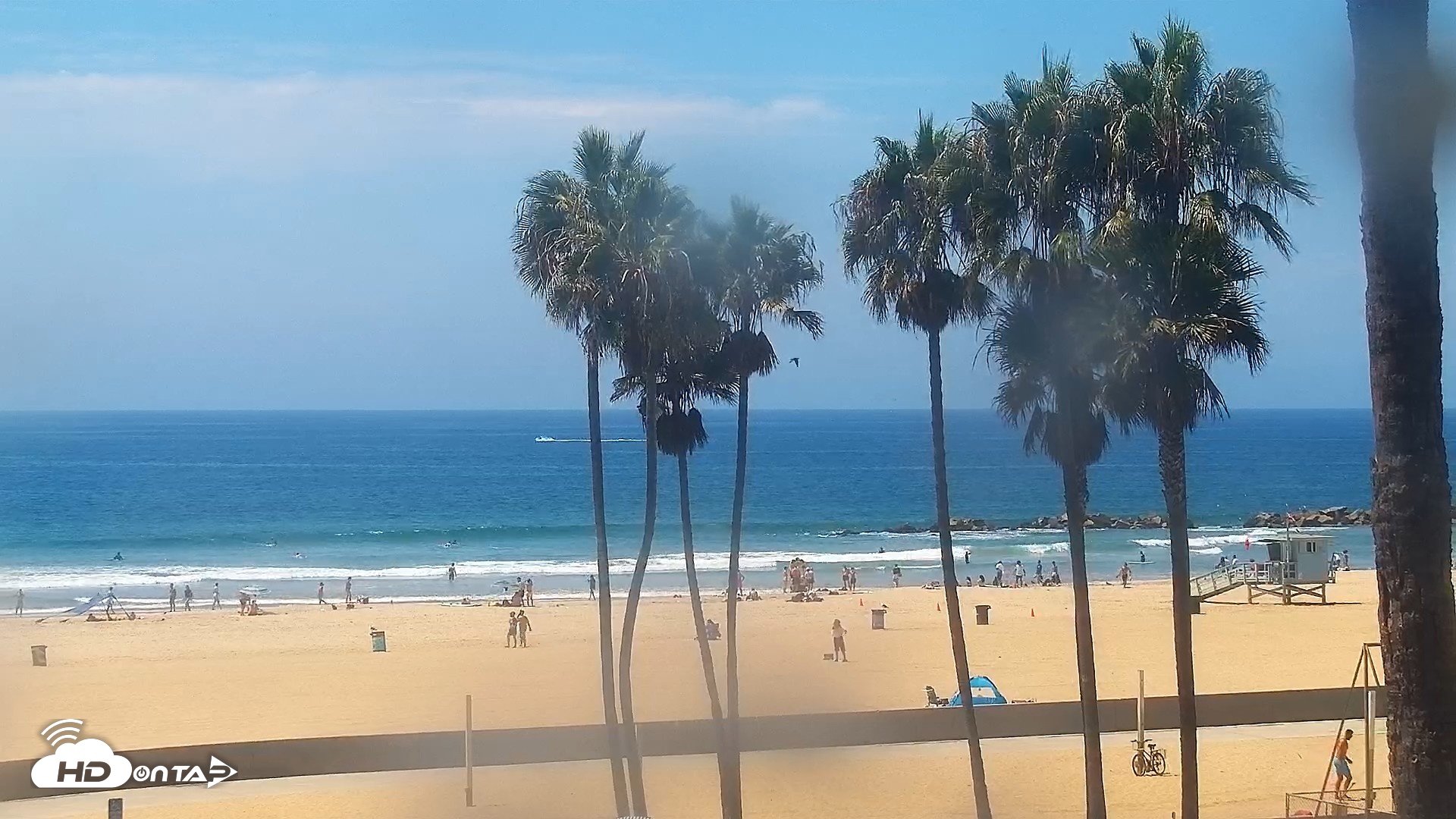 Snapshot of Venice Beach Live Surf Cam taken Aug 21, 2026, 1:01pm PDT
