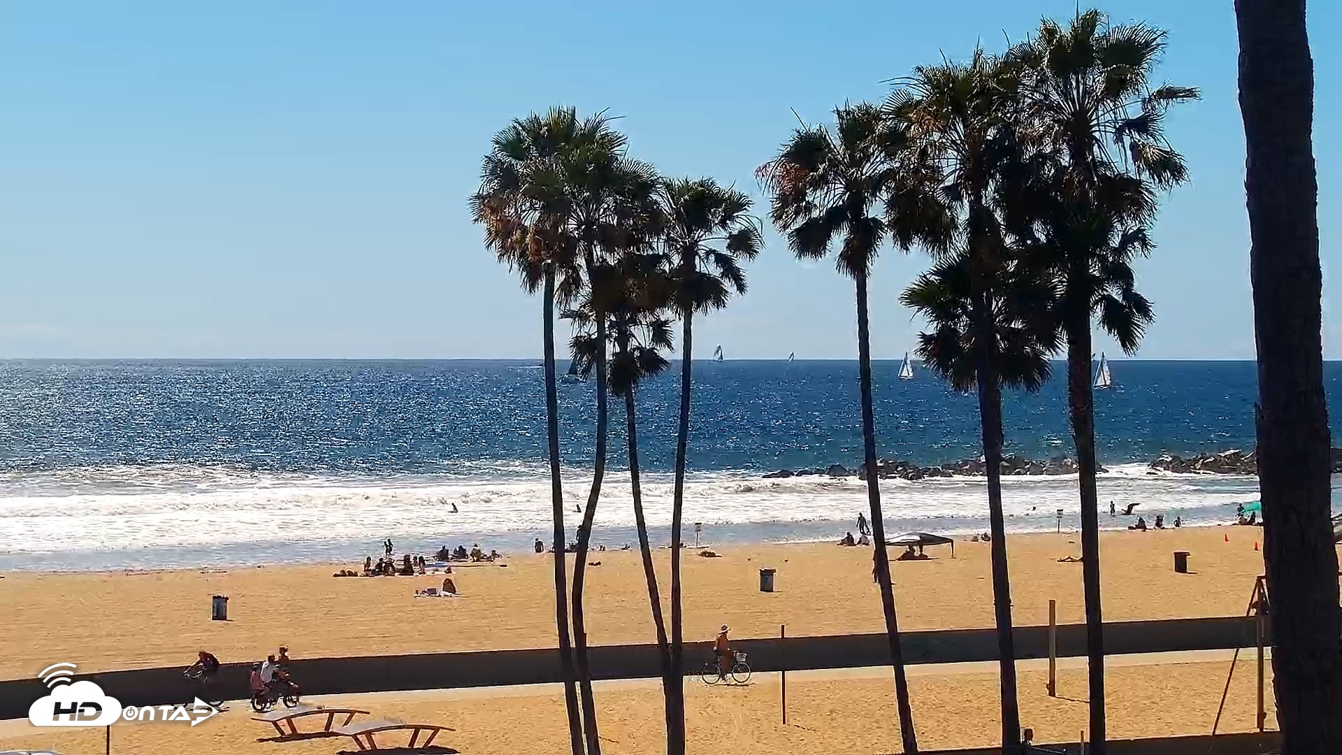 Snapshot of Venice Beach Live Surf Cam taken Apr 11, 2026, 3:02pm PDT