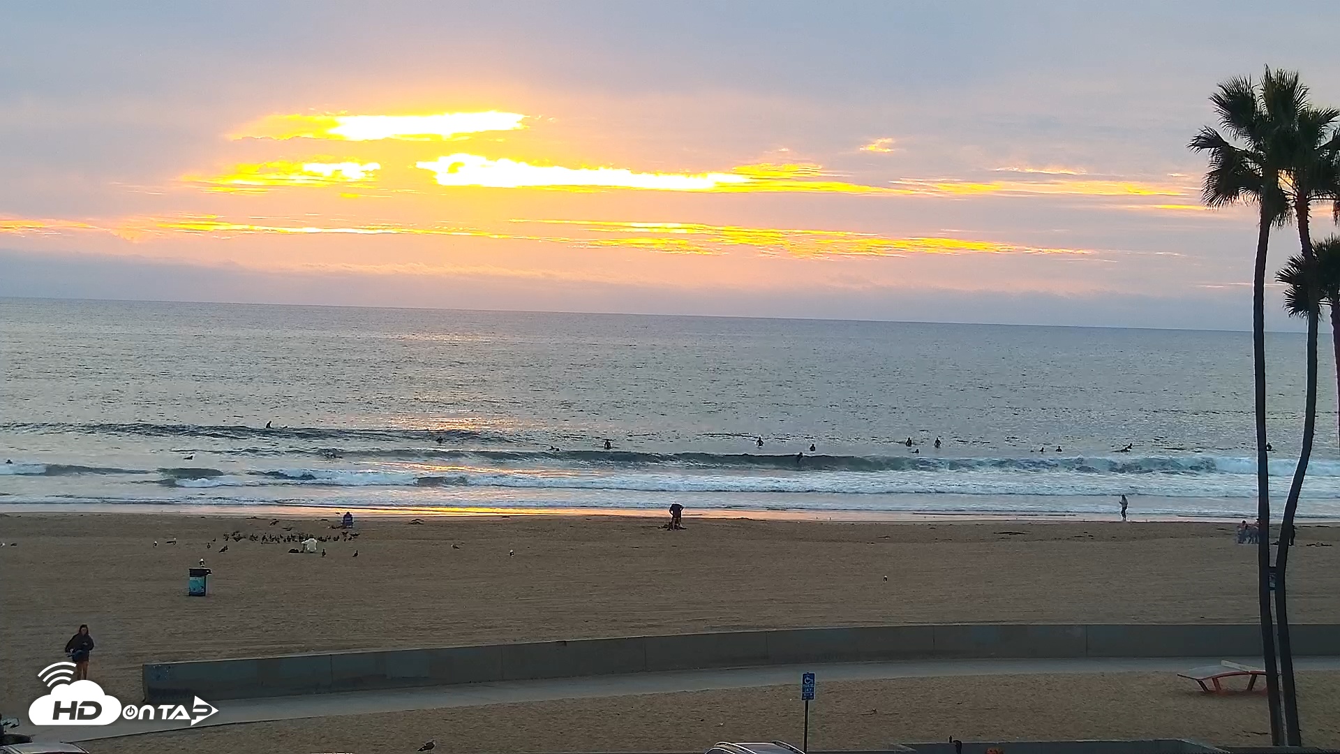 Snapshot of Venice Beach Live Surf Cam taken Nov 11, 2025, 4:32pm PST