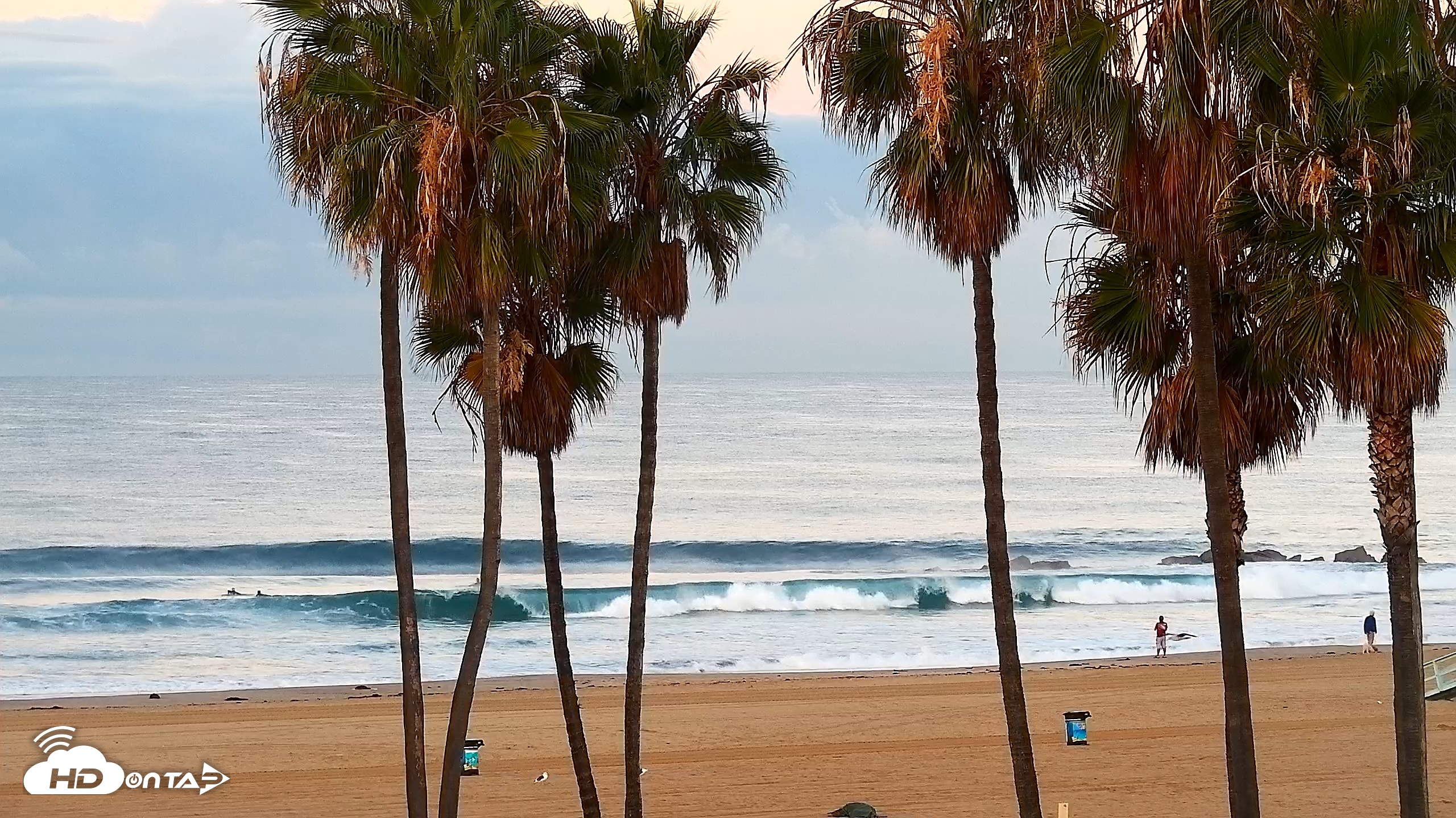 Snapshot of Venice Beach Roaming Live Surf Cam taken Oct 23, 2026, 7:08am PDT