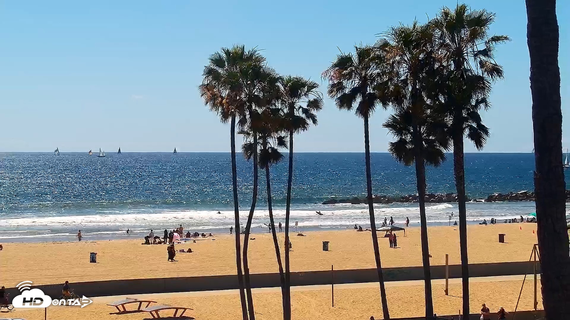 Snapshot of Venice Beach Live Surf Cam taken Apr 11, 2026, 2:51pm PDT