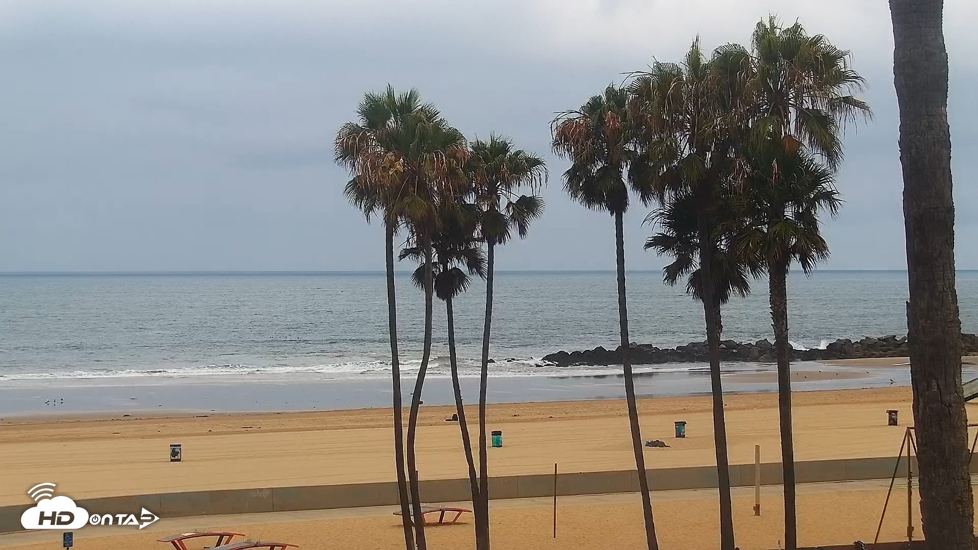 Snapshot of Venice Beach Live Surf Cam taken Jun 19, 2026, 7:18am PDT