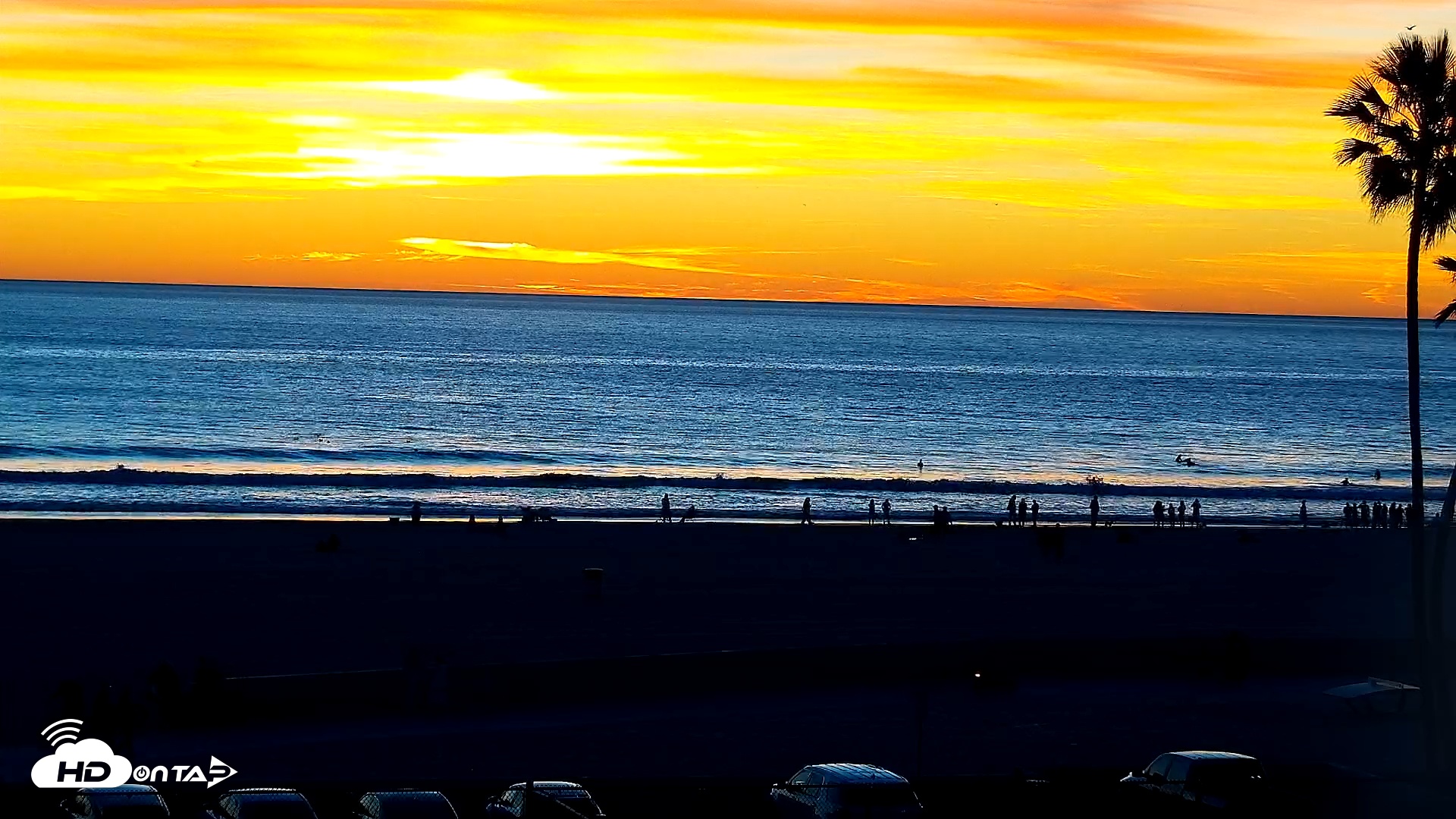 Snapshot of Venice Beach Live Surf Cam taken Jan 10, 2026, 5:16pm PST