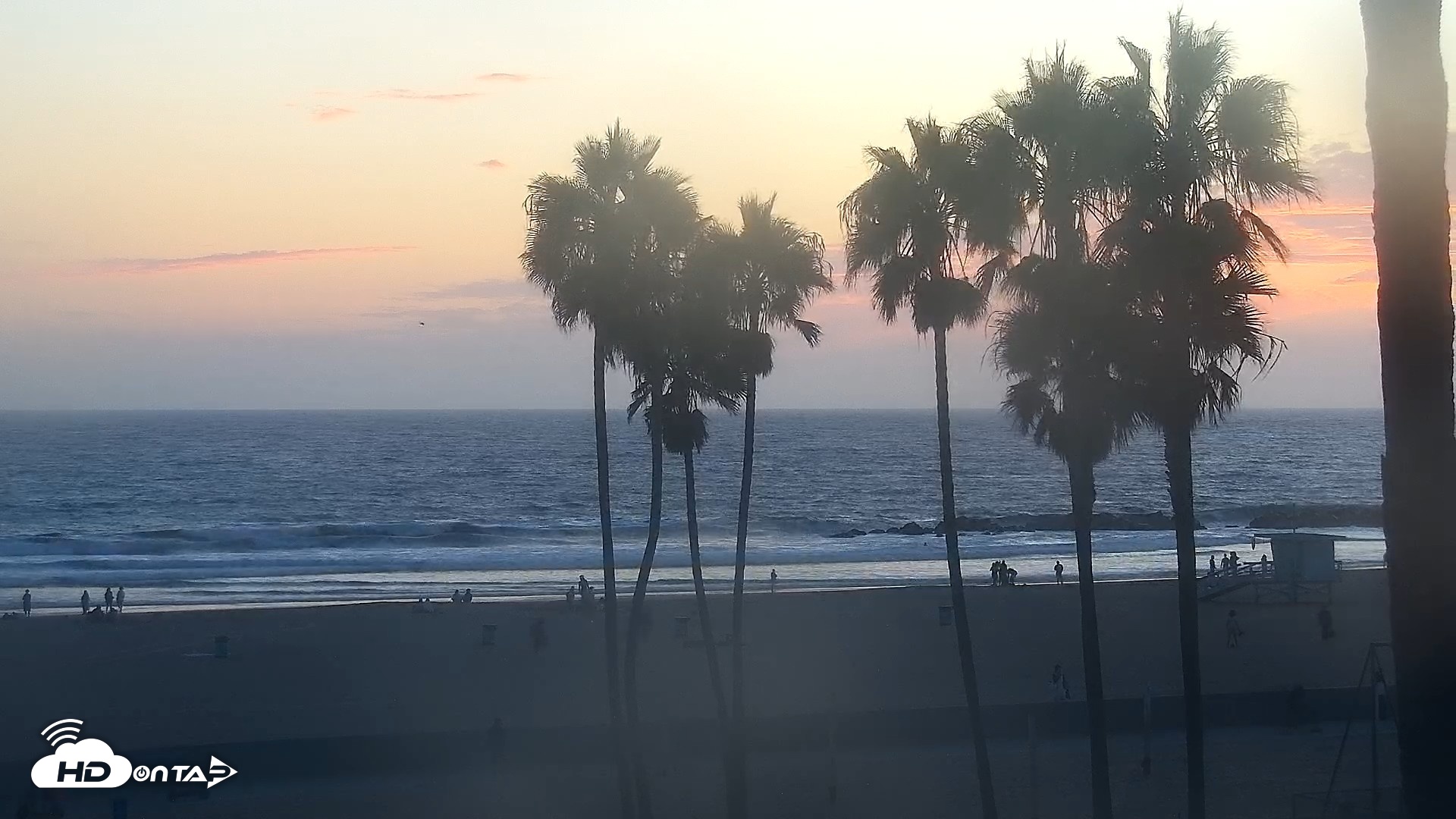 Snapshot of Venice Beach Live Surf Cam taken Aug 29, 2026, 7:34pm PDT