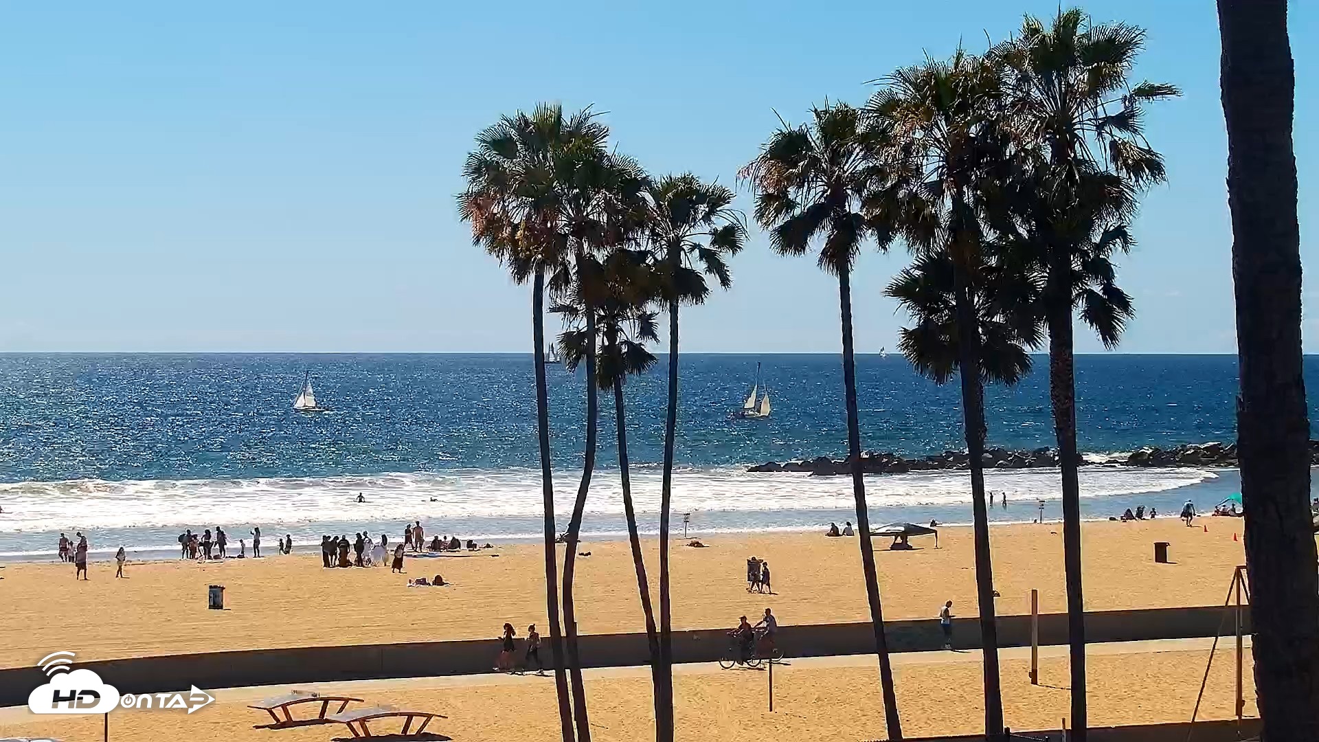 Snapshot of Venice Beach Live Surf Cam taken Apr 11, 2026, 2:48pm PDT