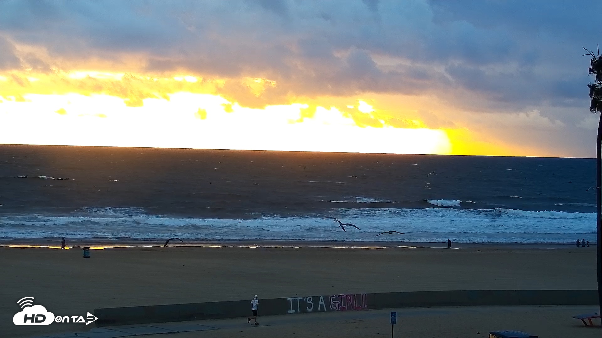 Snapshot of Venice Beach Live Surf Cam taken Feb 17, 2026, 5:09pm PST