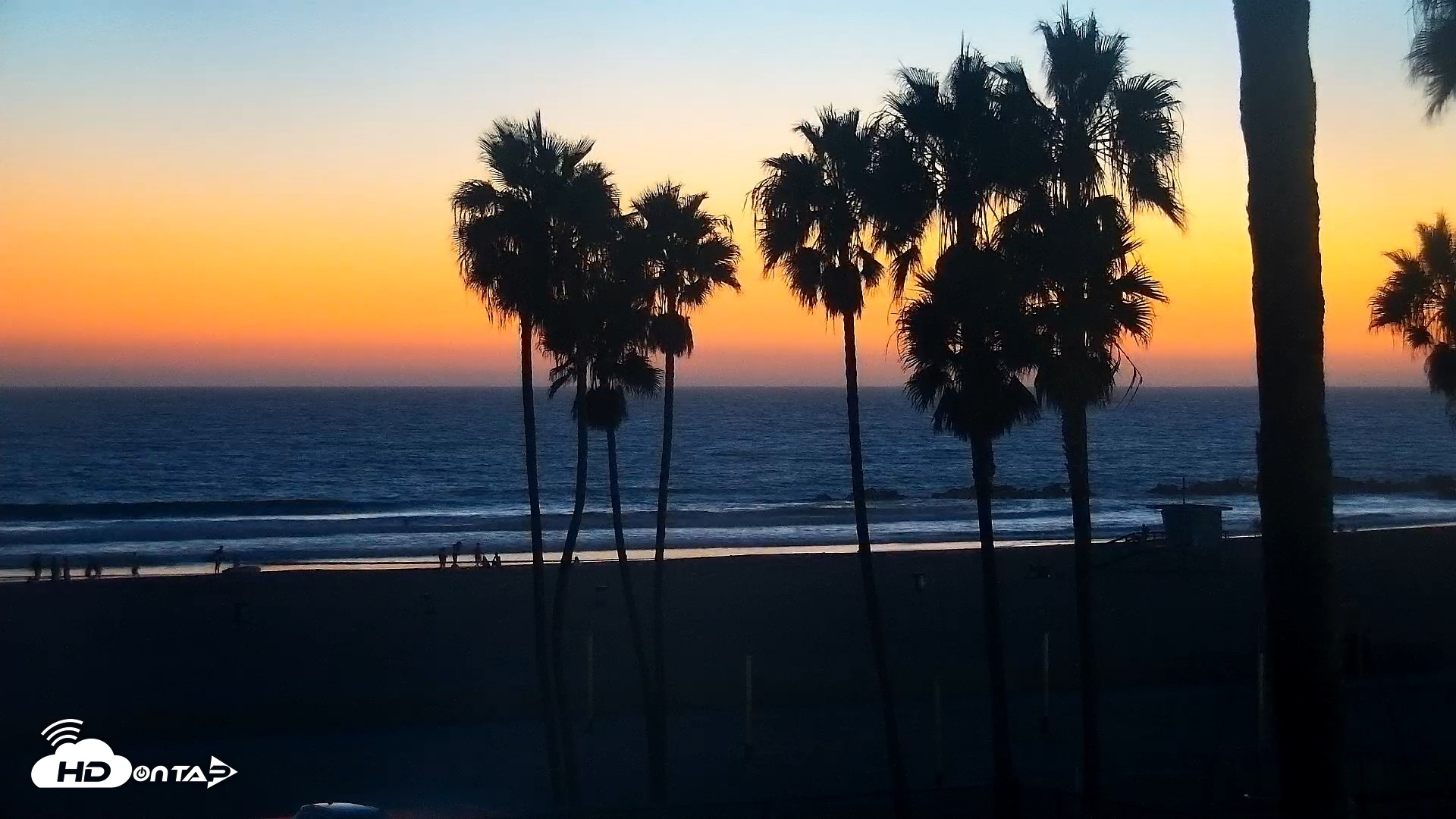 Snapshot of Venice Beach Live Surf Cam taken Sep 11, 2026, 7:40pm PDT
