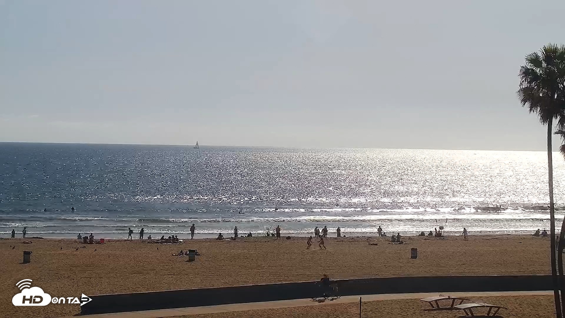 Snapshot of Venice Beach Live Surf Cam taken Apr 19, 2026, 4:33pm PDT