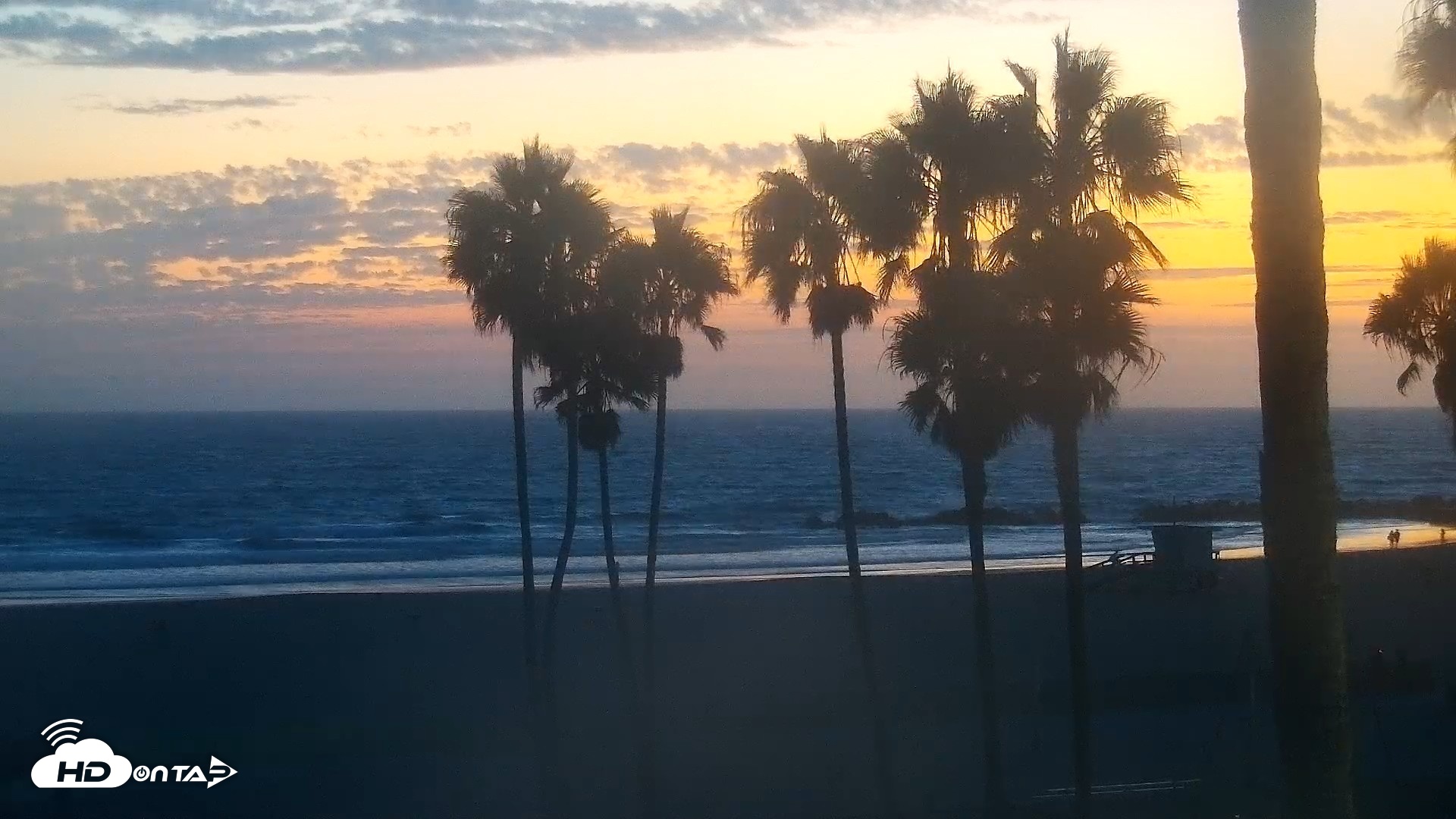 Snapshot of Venice Beach Live Surf Cam taken Aug 30, 2026, 7:49pm PDT