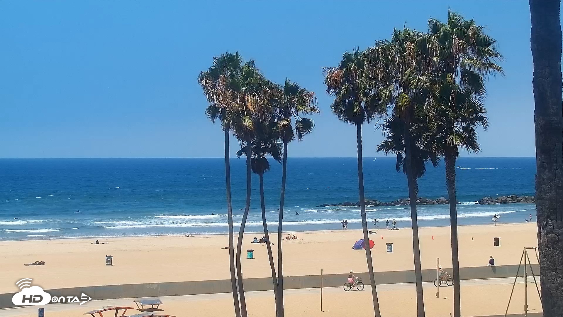 Snapshot of Venice Beach Live Surf Cam taken Jul 10, 2026, 12:01pm PDT