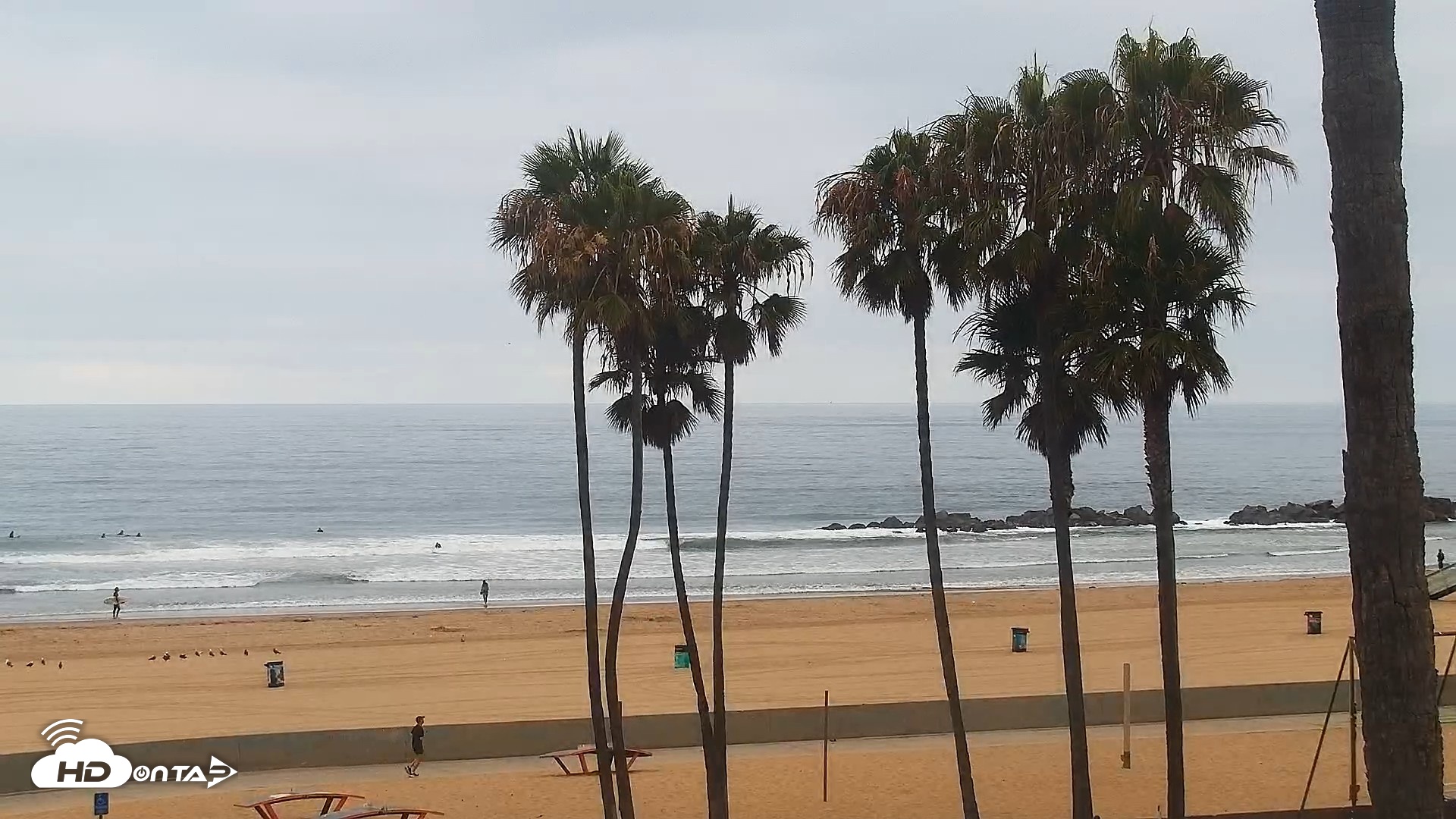 Snapshot of Venice Beach Live Surf Cam taken Jun 22, 2026, 7:18am PDT