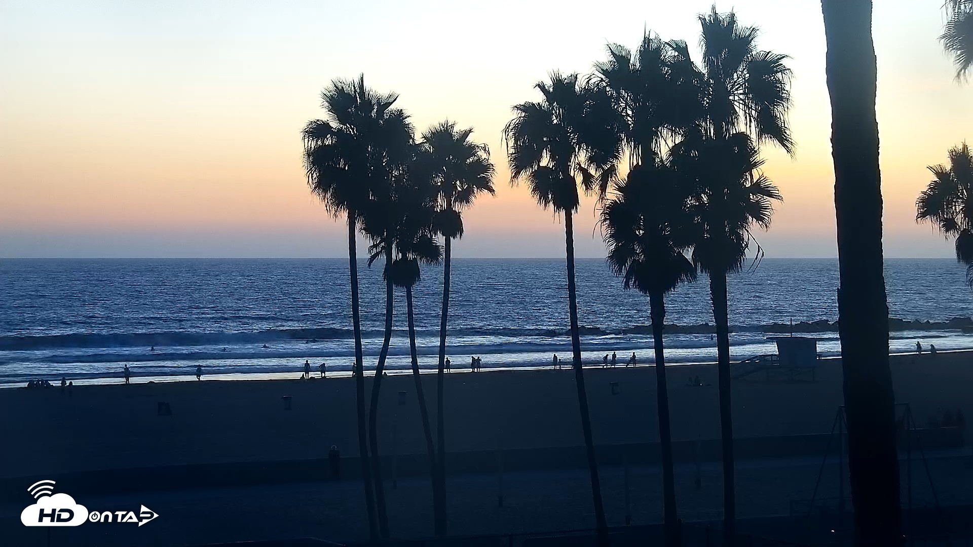 Snapshot of Venice Beach Live Surf Cam taken Sep 11, 2026, 7:25pm PDT