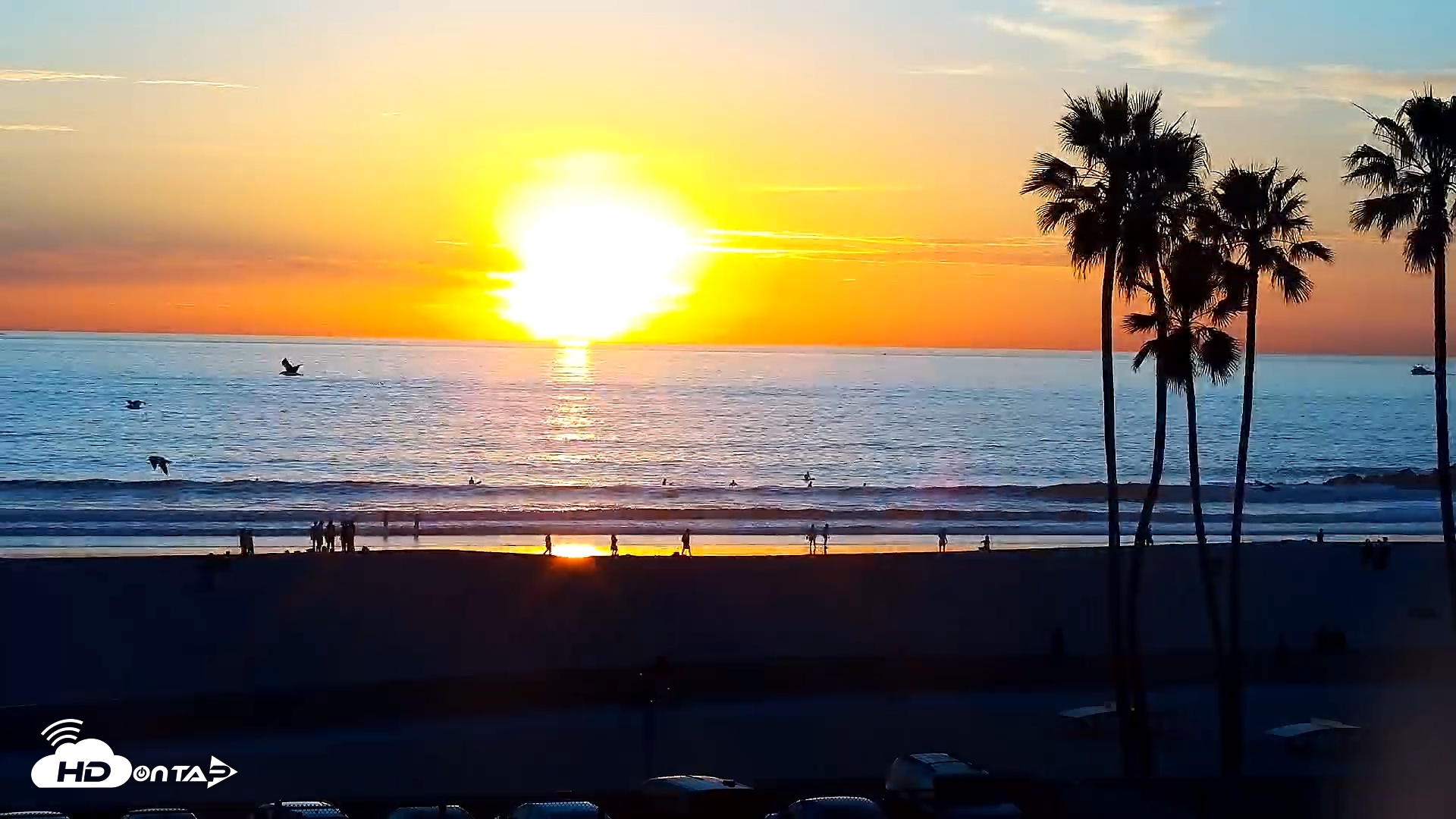 Snapshot of Venice Beach Live Surf Cam taken Feb 5, 2026, 5:24pm PST