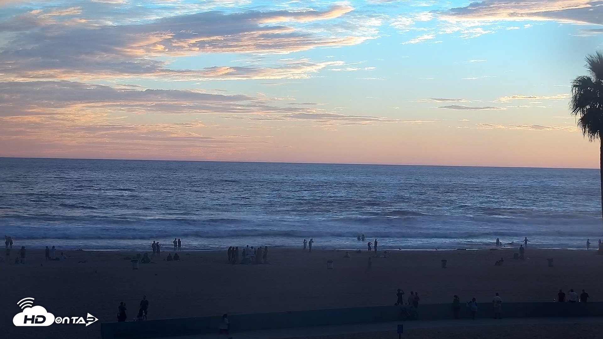 Snapshot of Venice Beach Live Surf Cam taken Sep 7, 2026, 7:16pm PDT